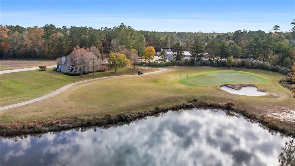 Homes for sale in Springfield, LA | 30764 Bluewing Crescent, Springfield, LA 70462 | MLS# 2535001