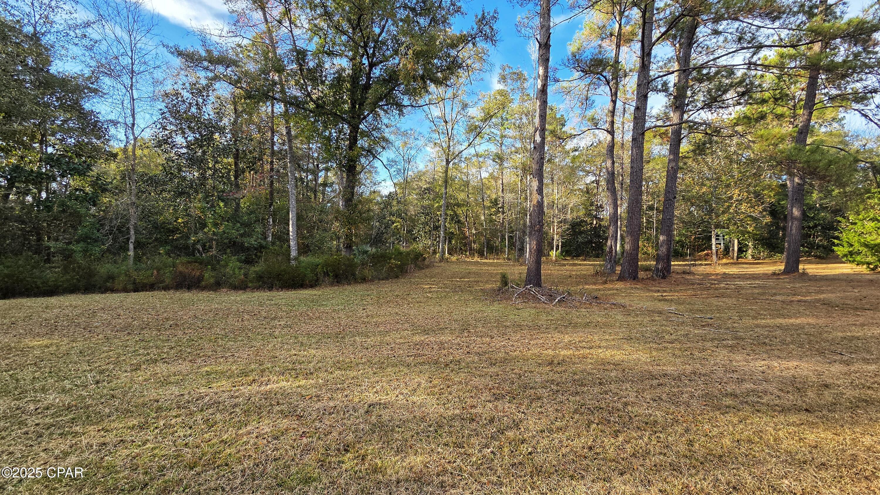 Image 29 For 1556 Cherry Street