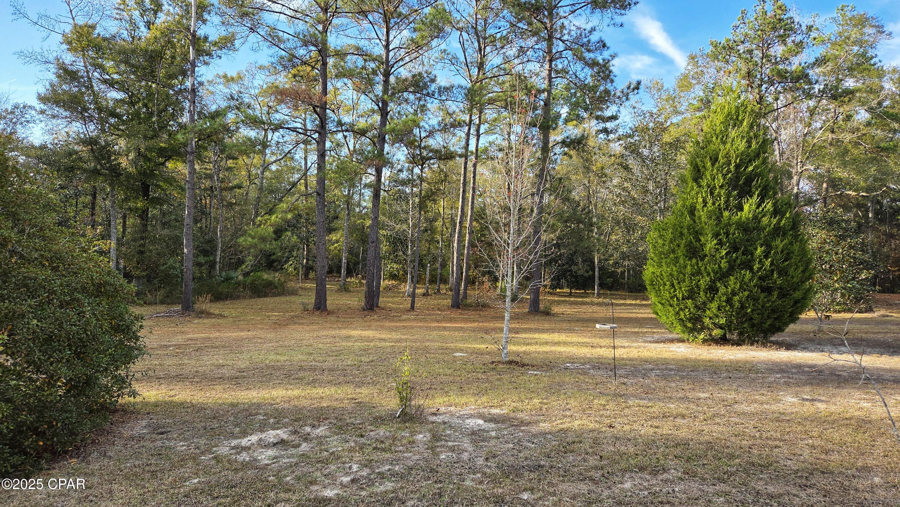 Image 29 For 1556 Cherry Street