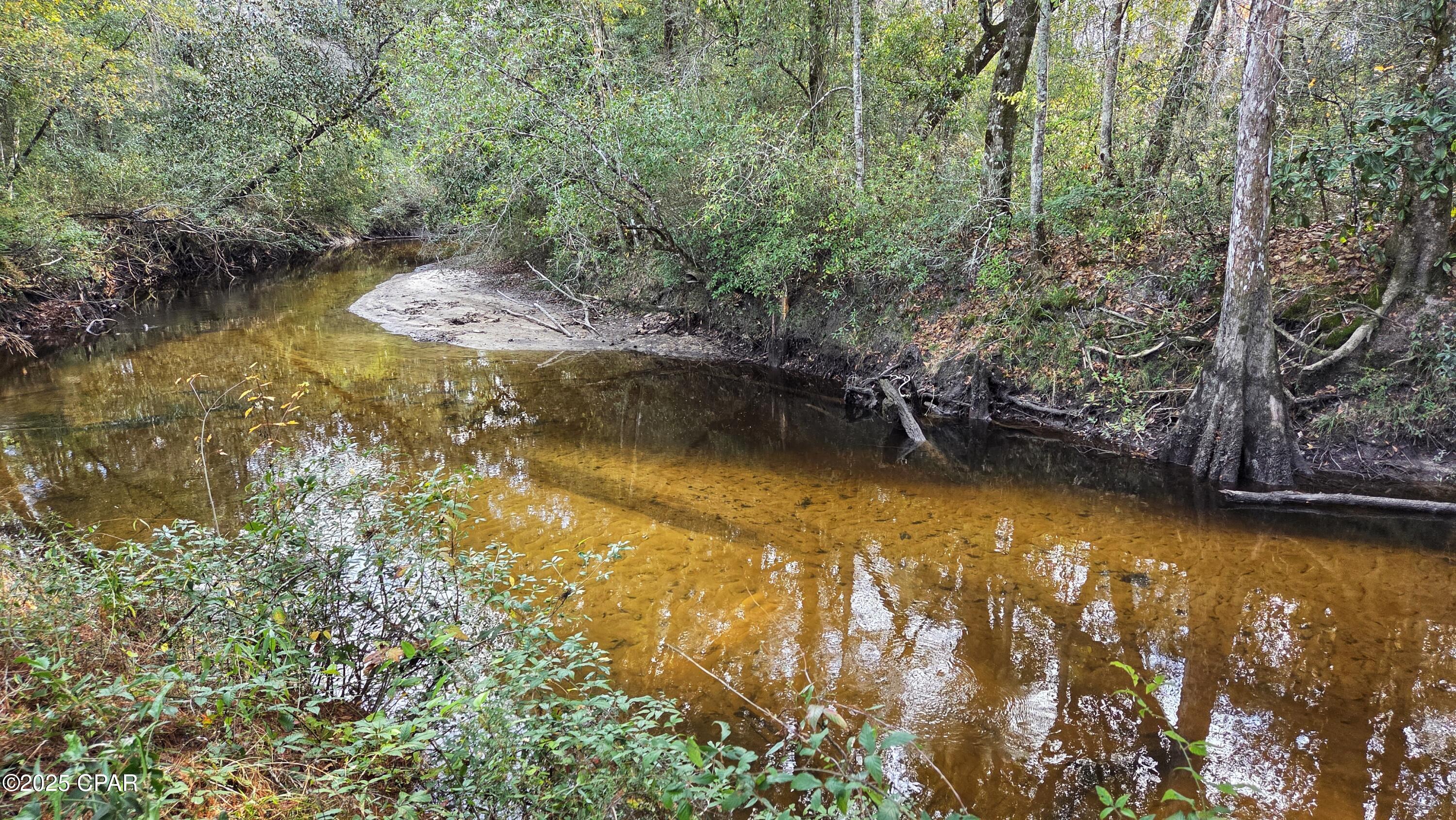 Image 30 For 1556 Cherry Street