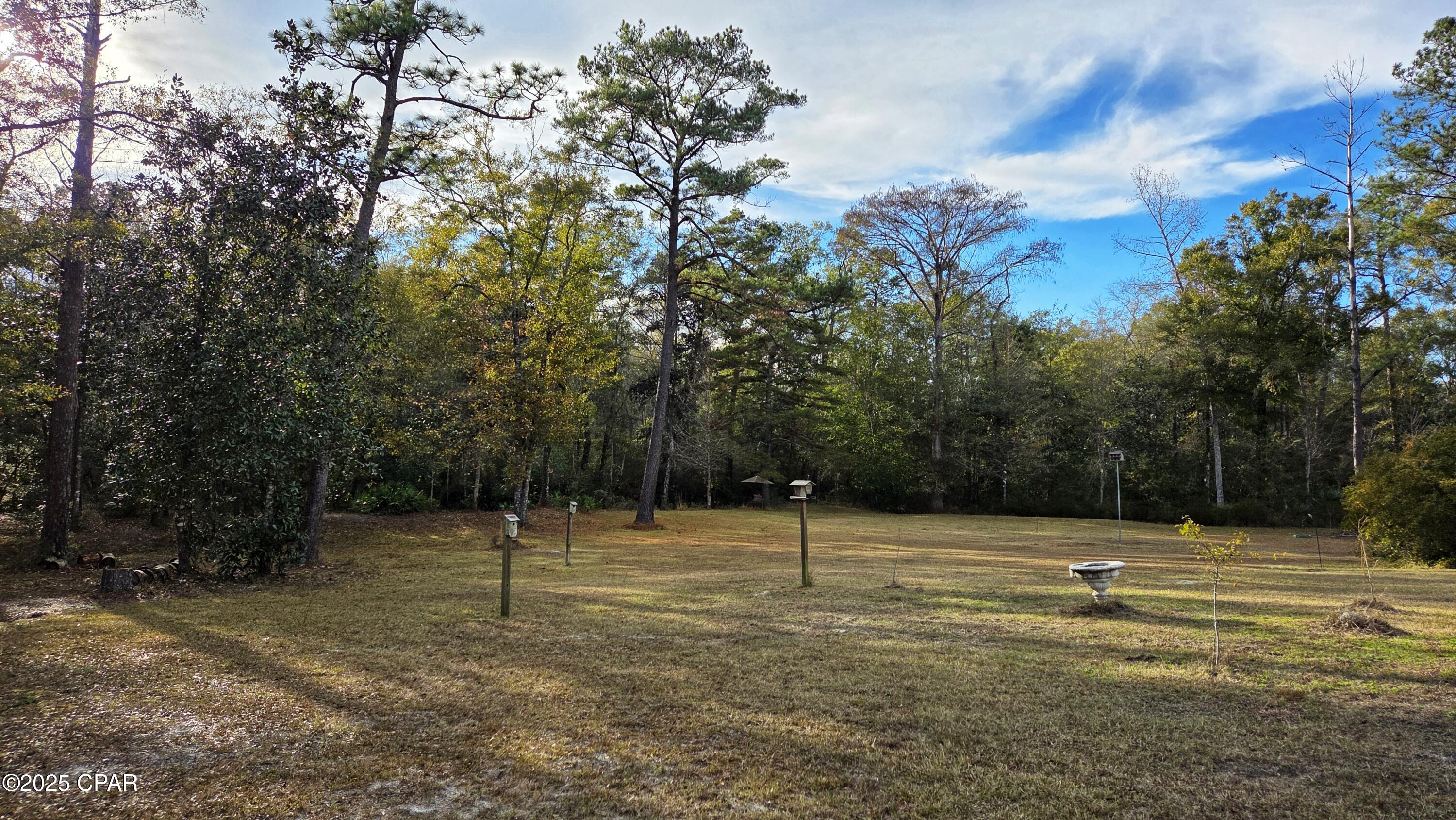 Image 31 For 1556 Cherry Street