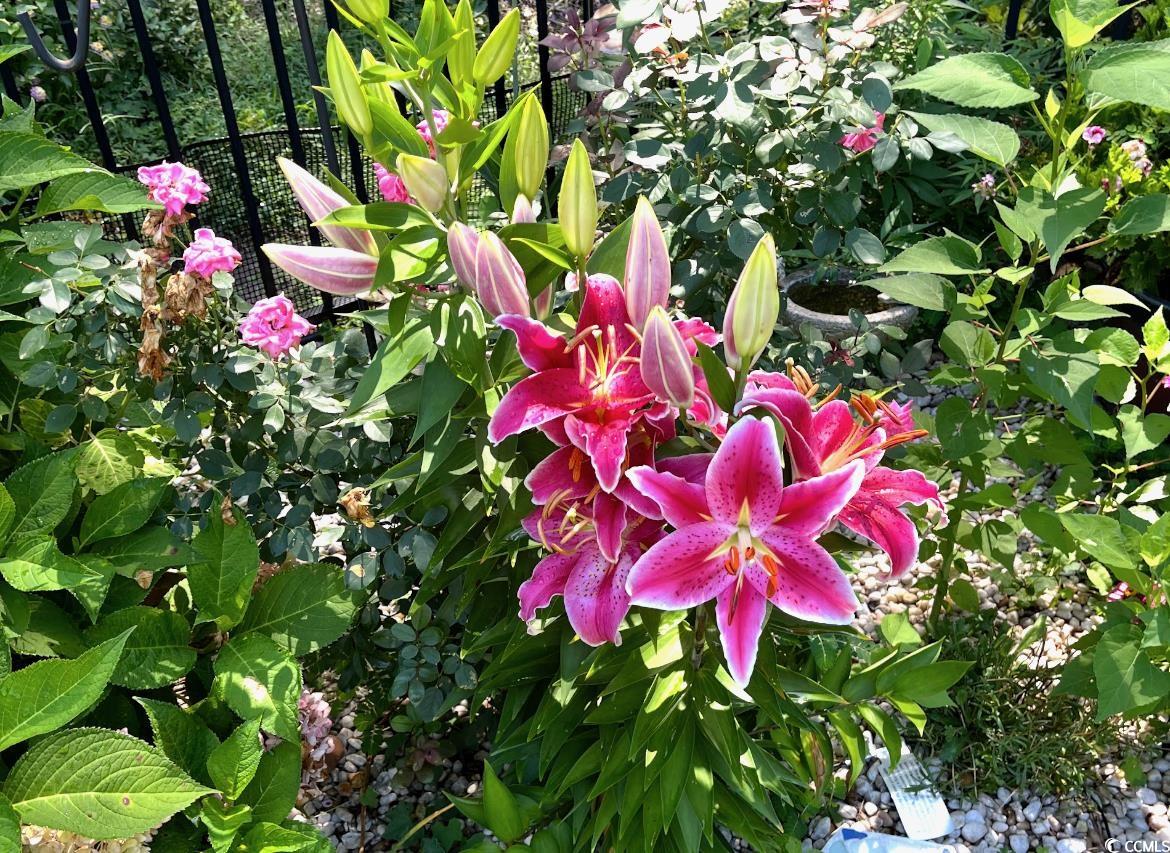 208 Myrtle Grande Dr.