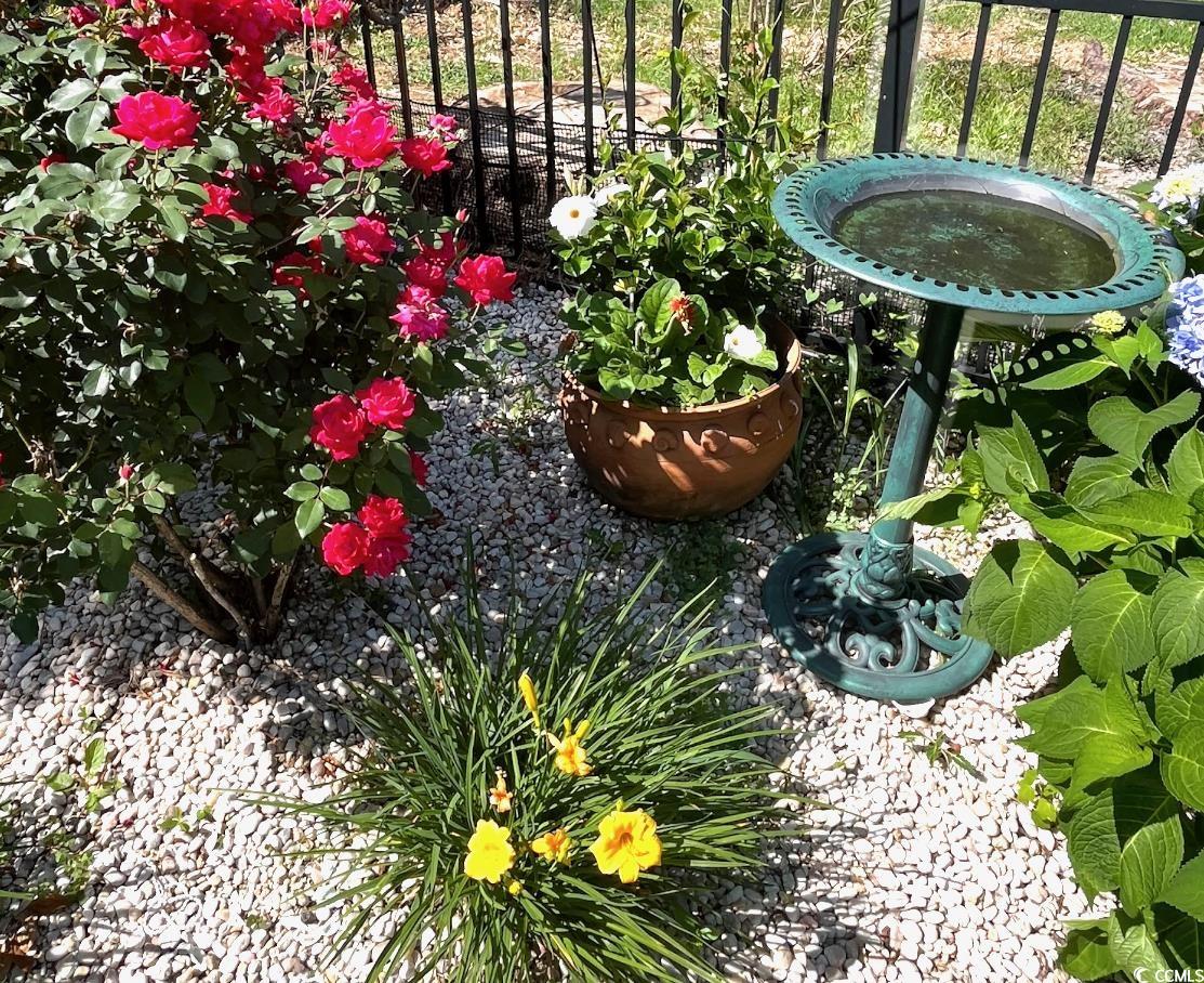 208 Myrtle Grande Dr.