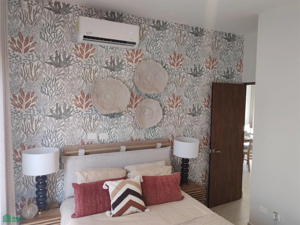 mar de cortes 25 g, El Tezal, Los Cabos, Baja California Sur