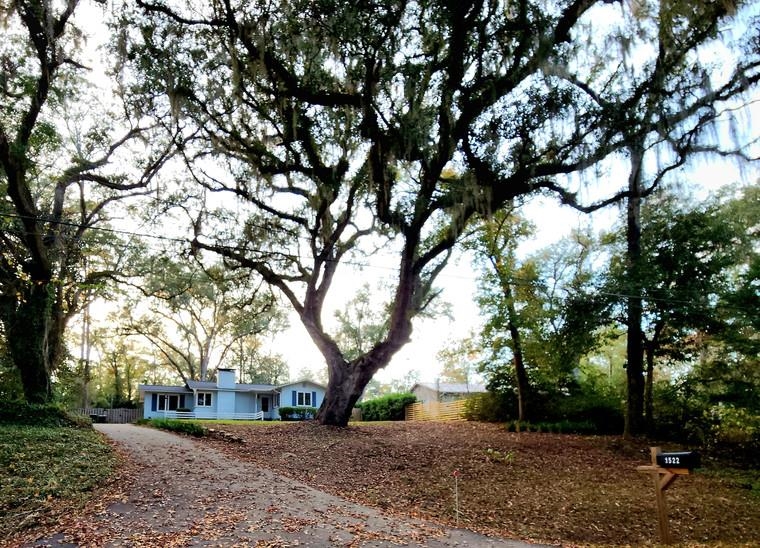 1522  ATAPHA NENE , Tallahassee, FL, 32301