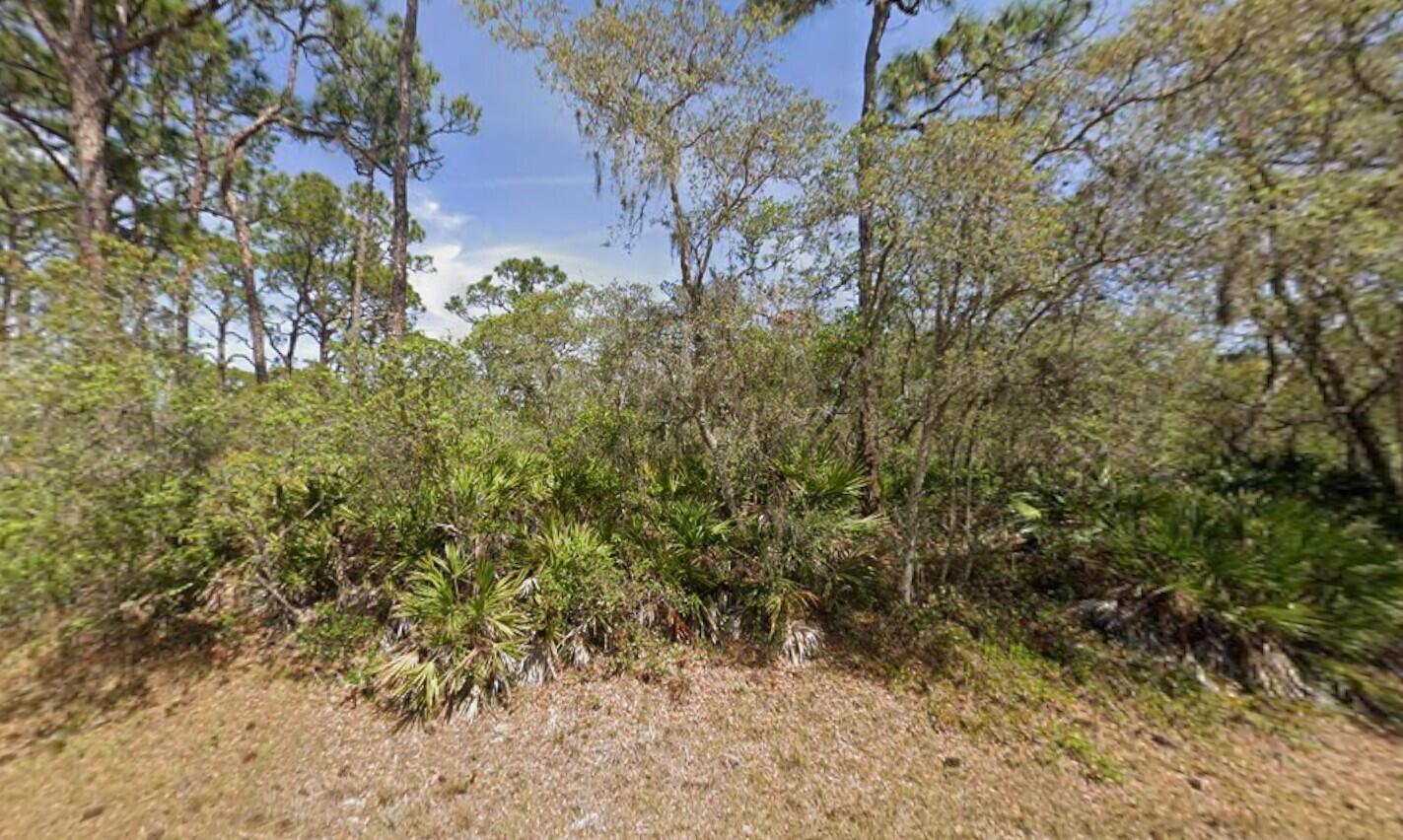 Placid Lakes Sec 16 Rplt