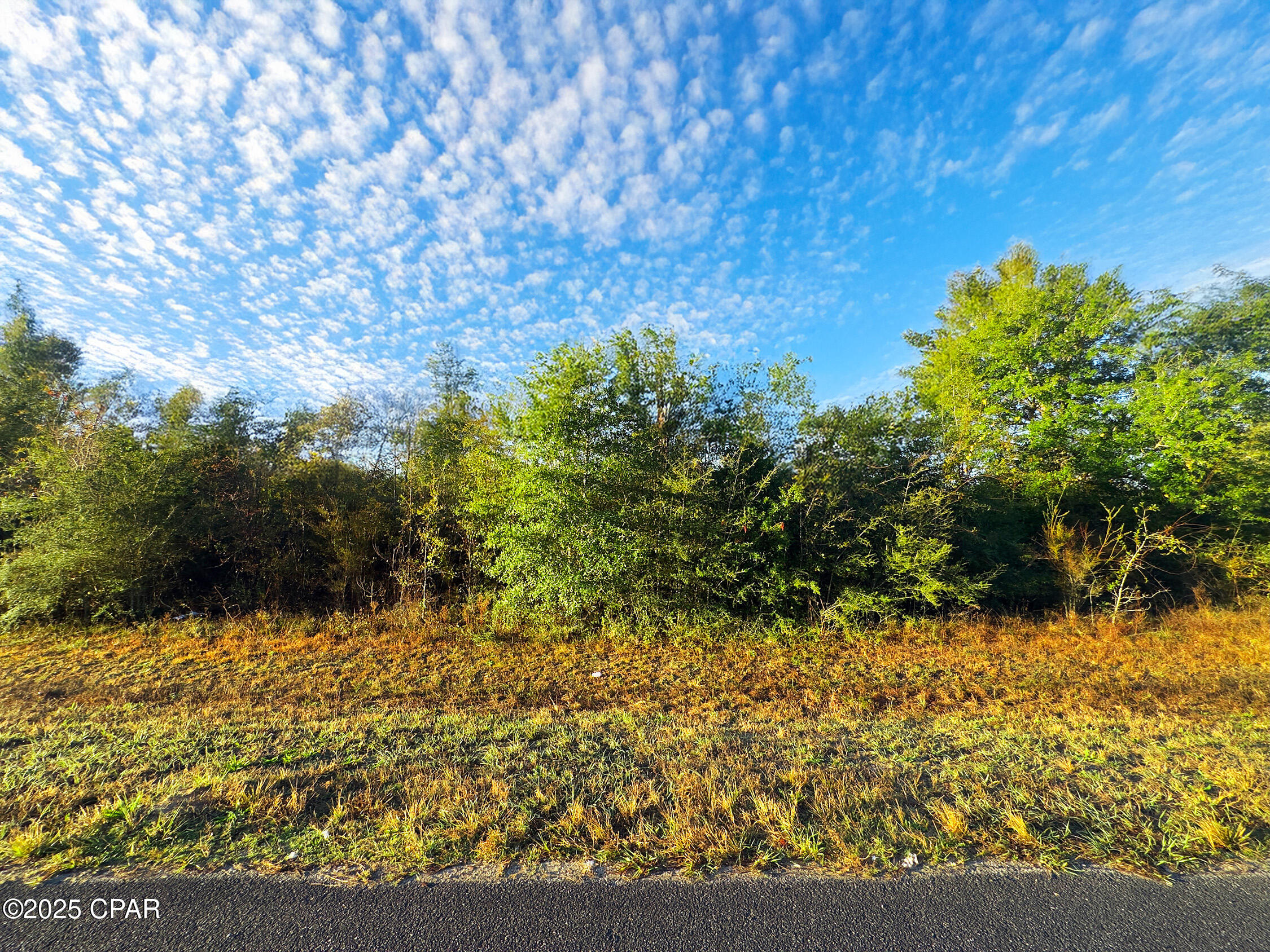 Details for Tbd Sr 73  , Kinard, FL 32449