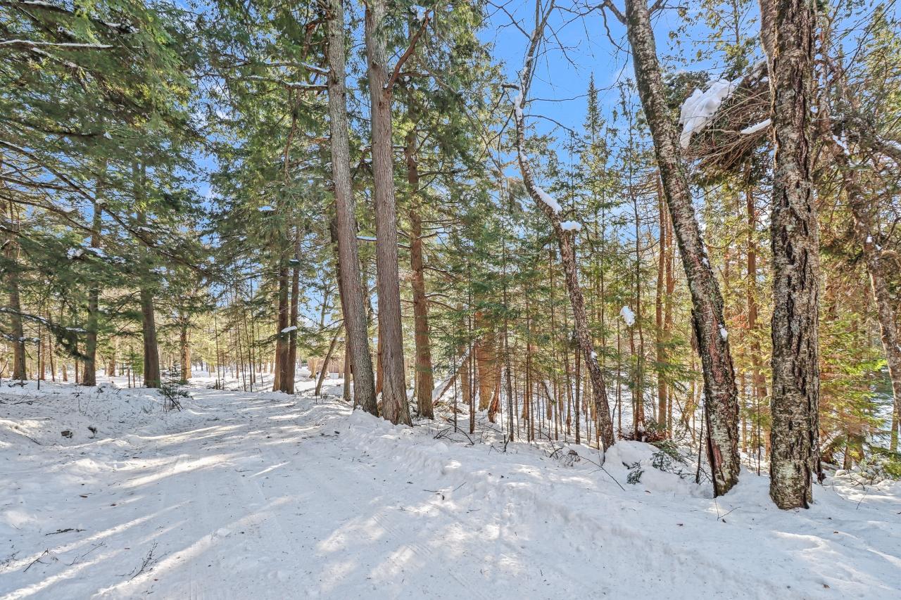 Big Lake (L) Property 7103 Big Lake Rd Photo 21