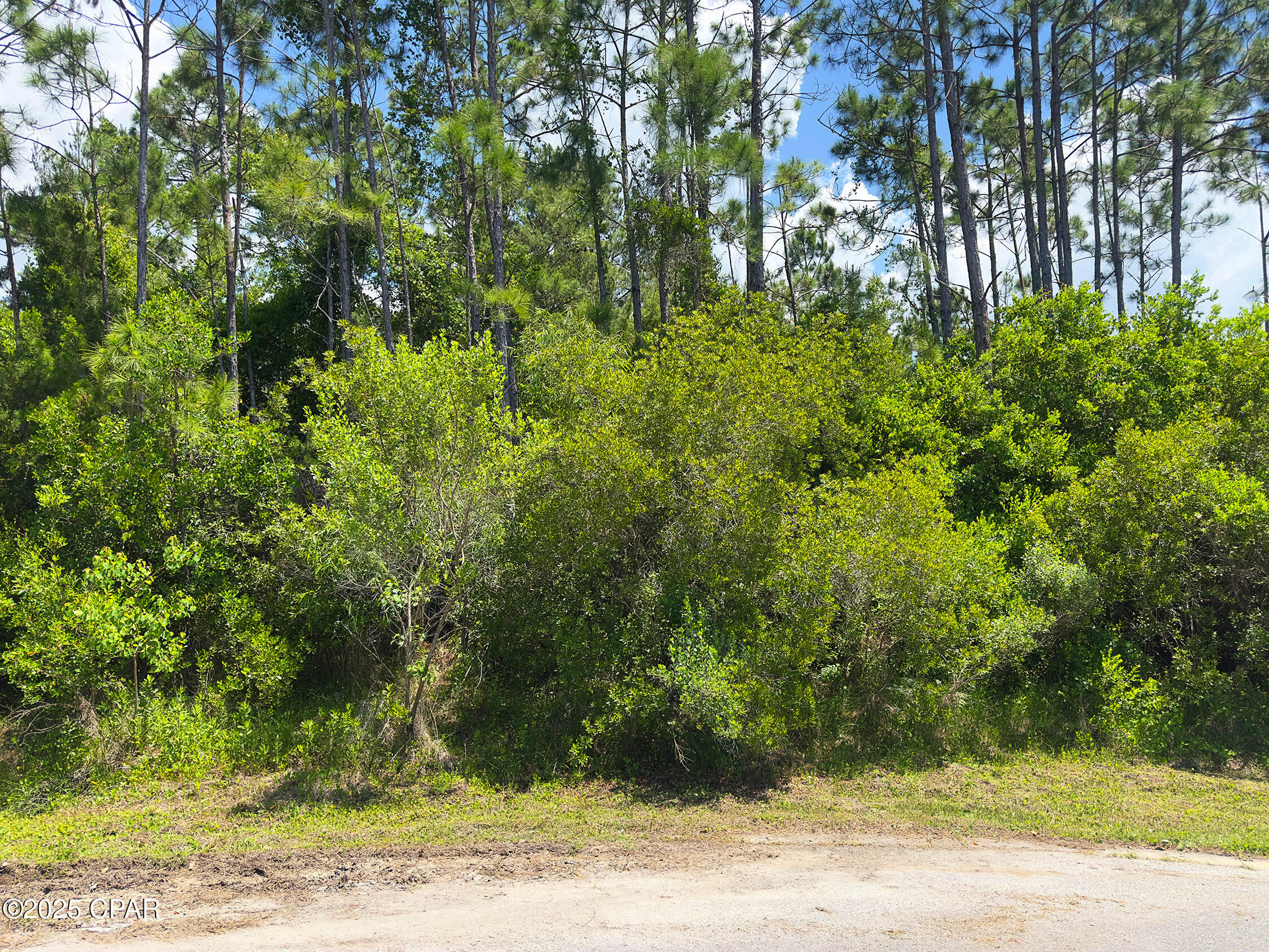 Image 7 For 112 Conch Street