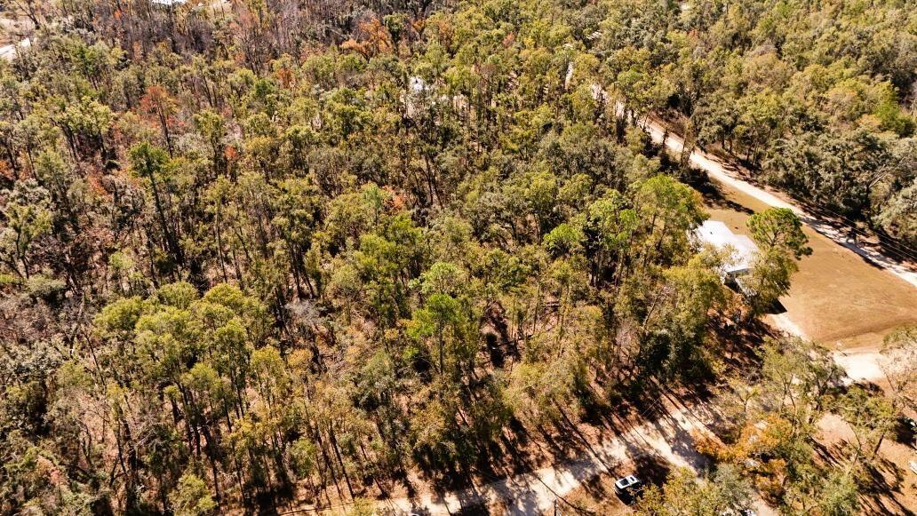 Oak Creek At Oak Woodland