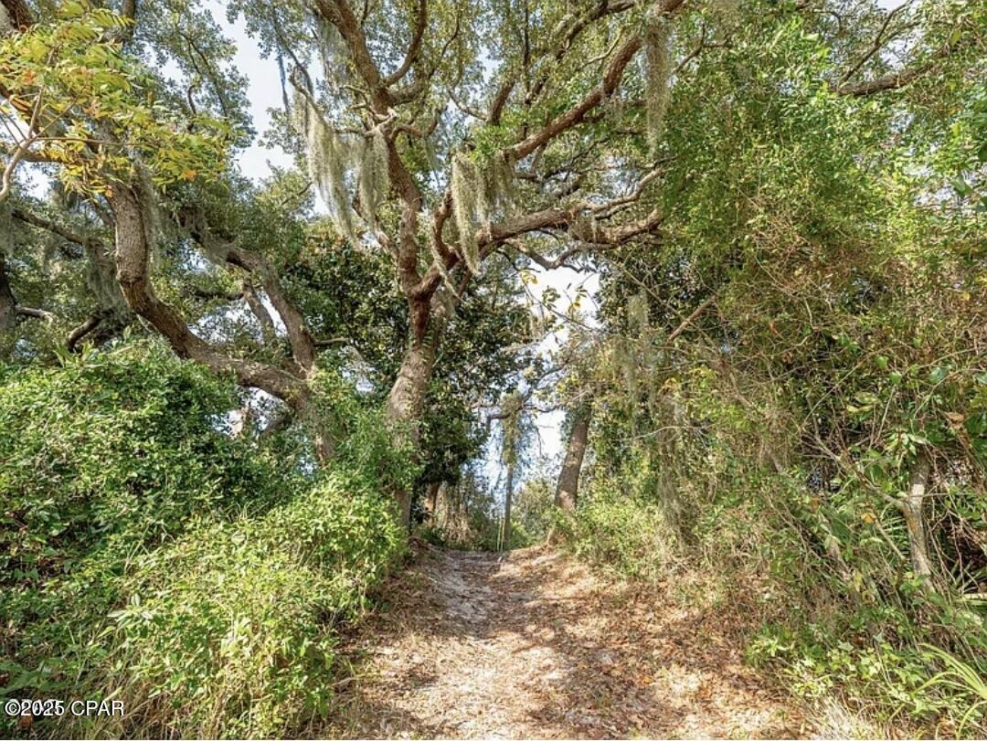 Image 7 For 3555 Sanctuary Drive