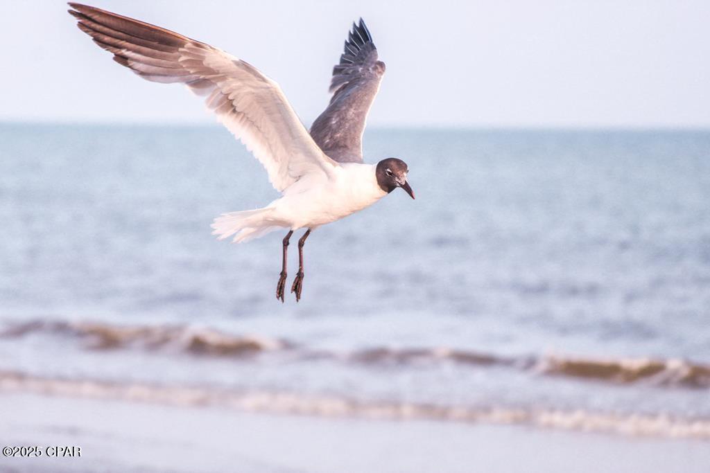 Image 15 For 135 Hemmingway Circle