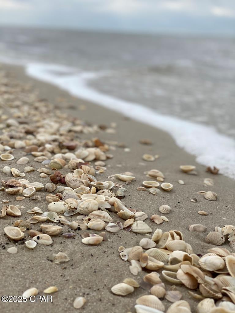 Image 22 For 135 Hemmingway Circle