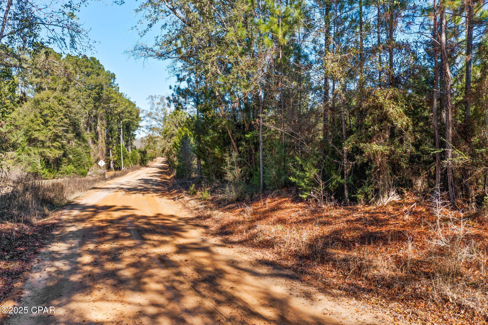 Homes for sale in Vernon, FL | 2539 Davids Rd, Vernon, FL 32462 | MLS# 782865