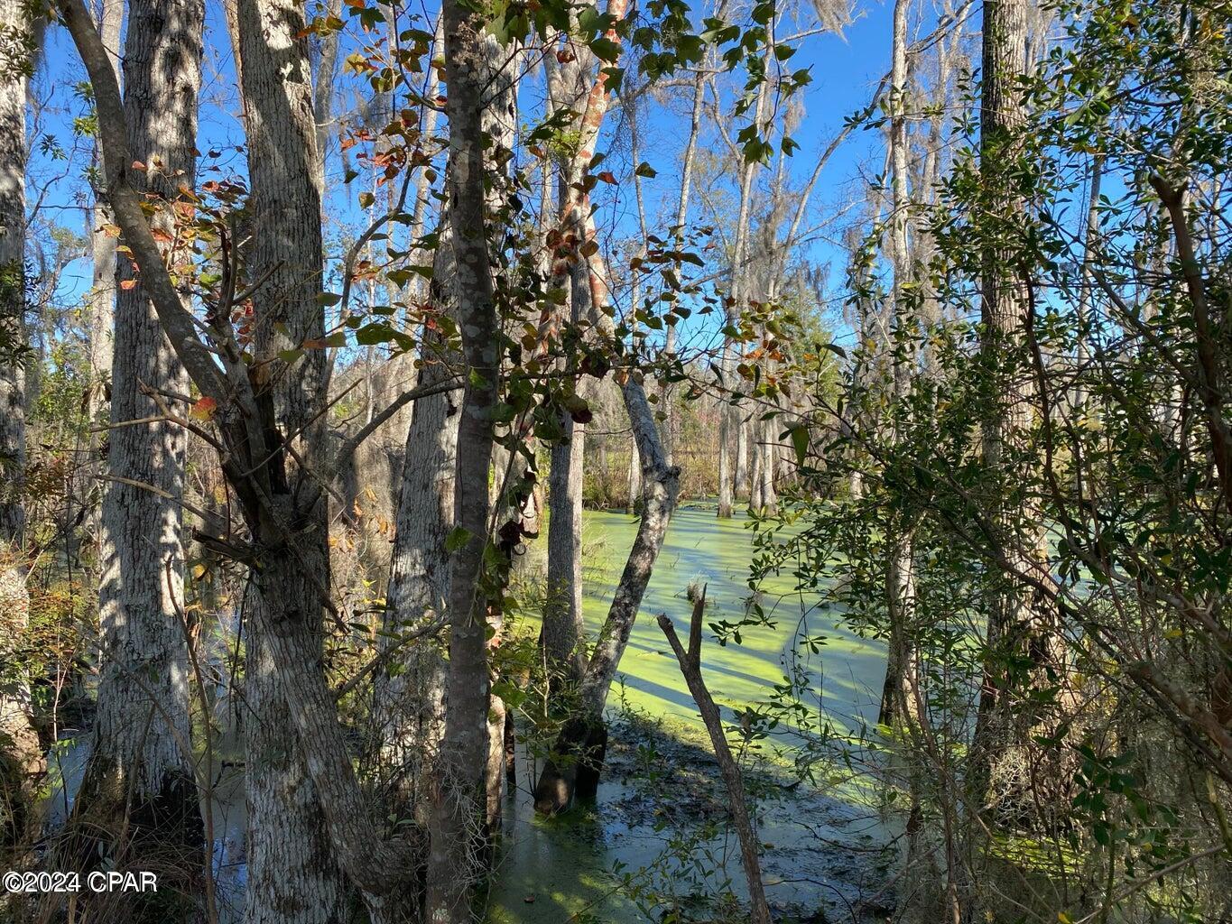 Image 14 For 4714 Bay Head Road