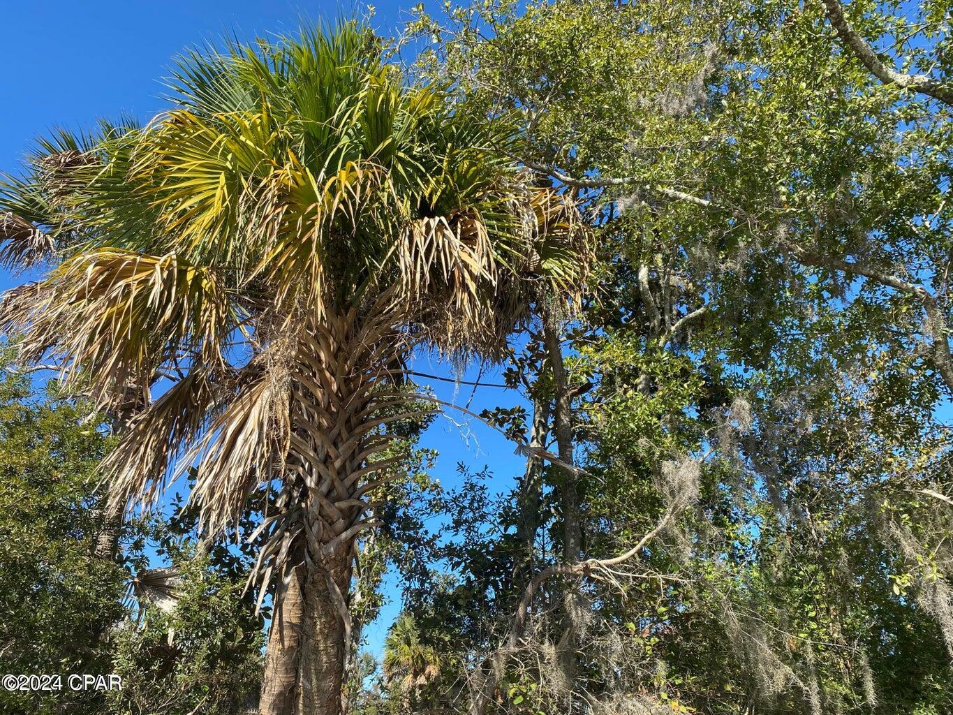 Image 32 For 4714 Bay Head Road