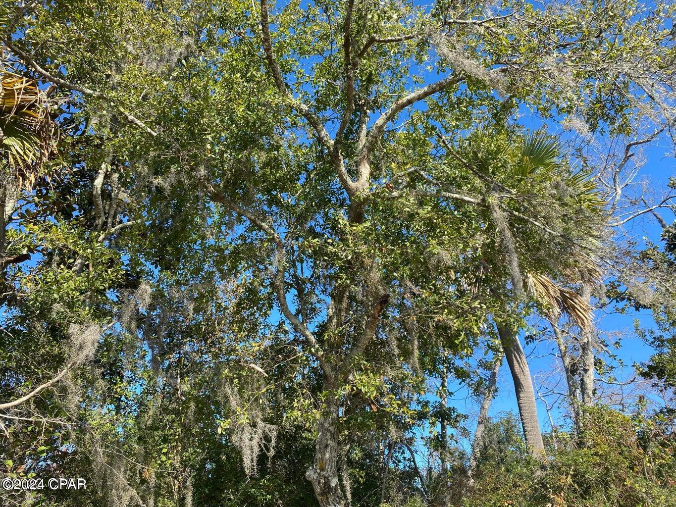 Image 33 For 4714 Bay Head Road