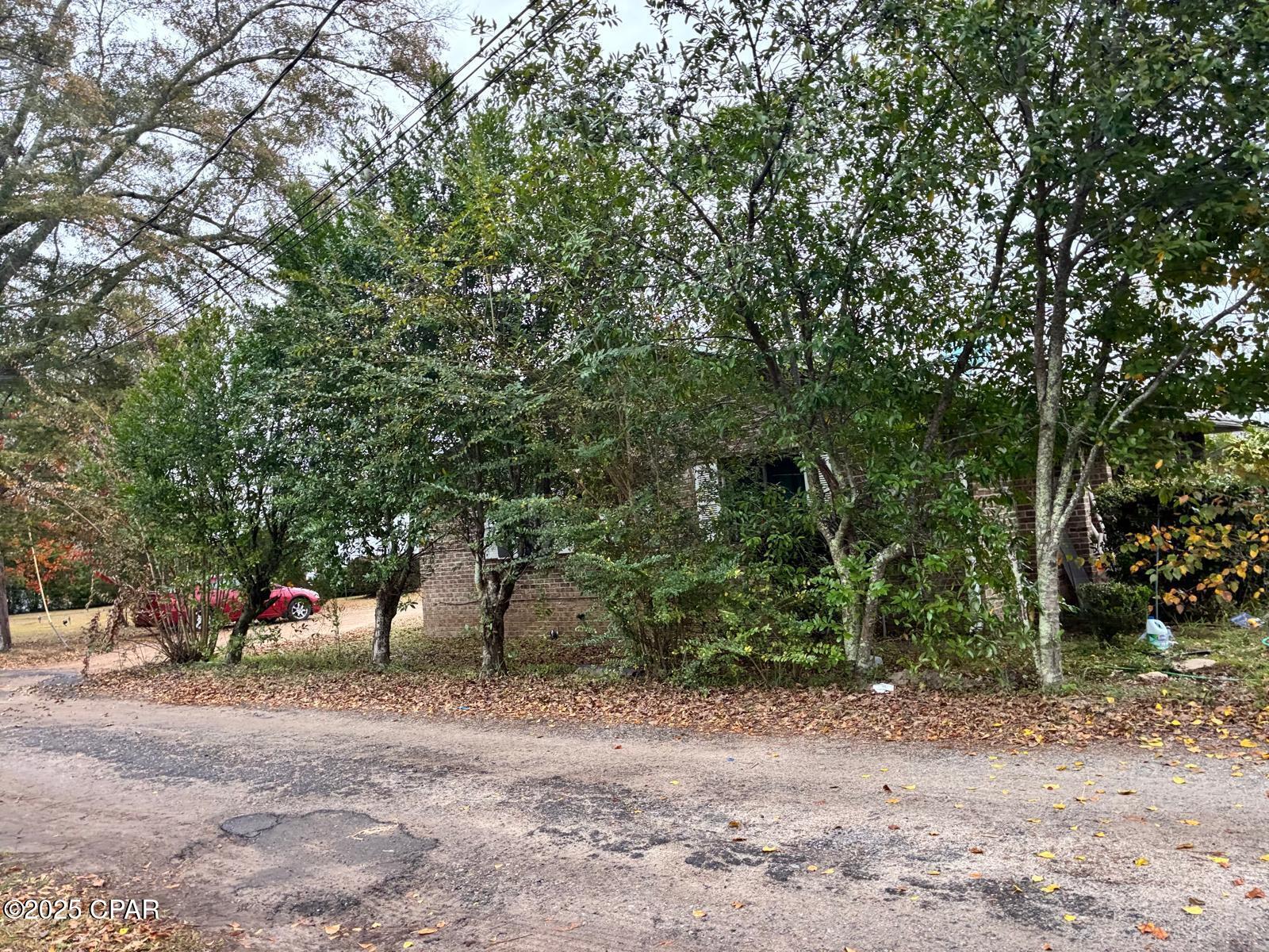 Image 30 For 1228 Church Avenue