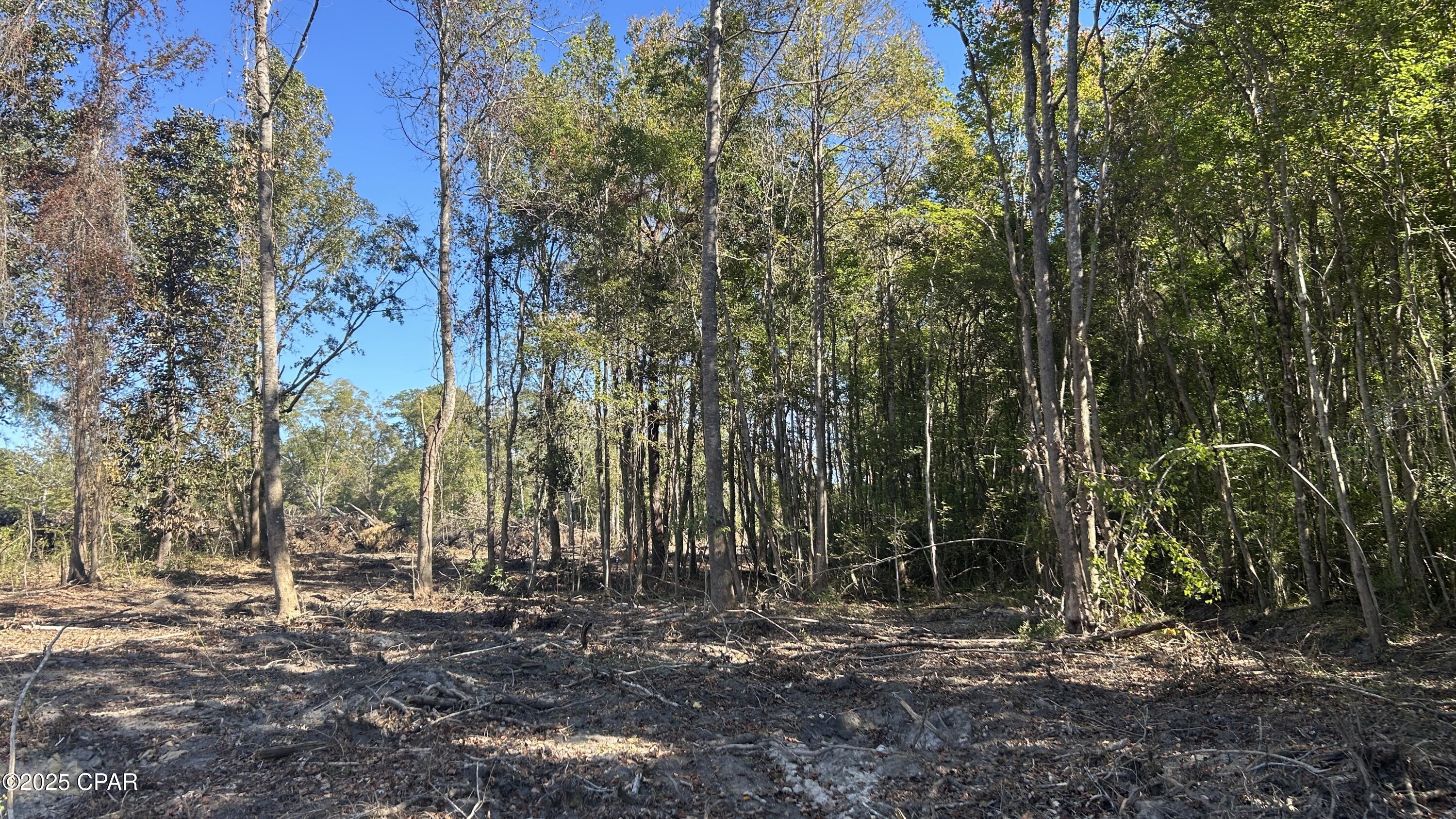 Image 18 For 23834 State Line Highway