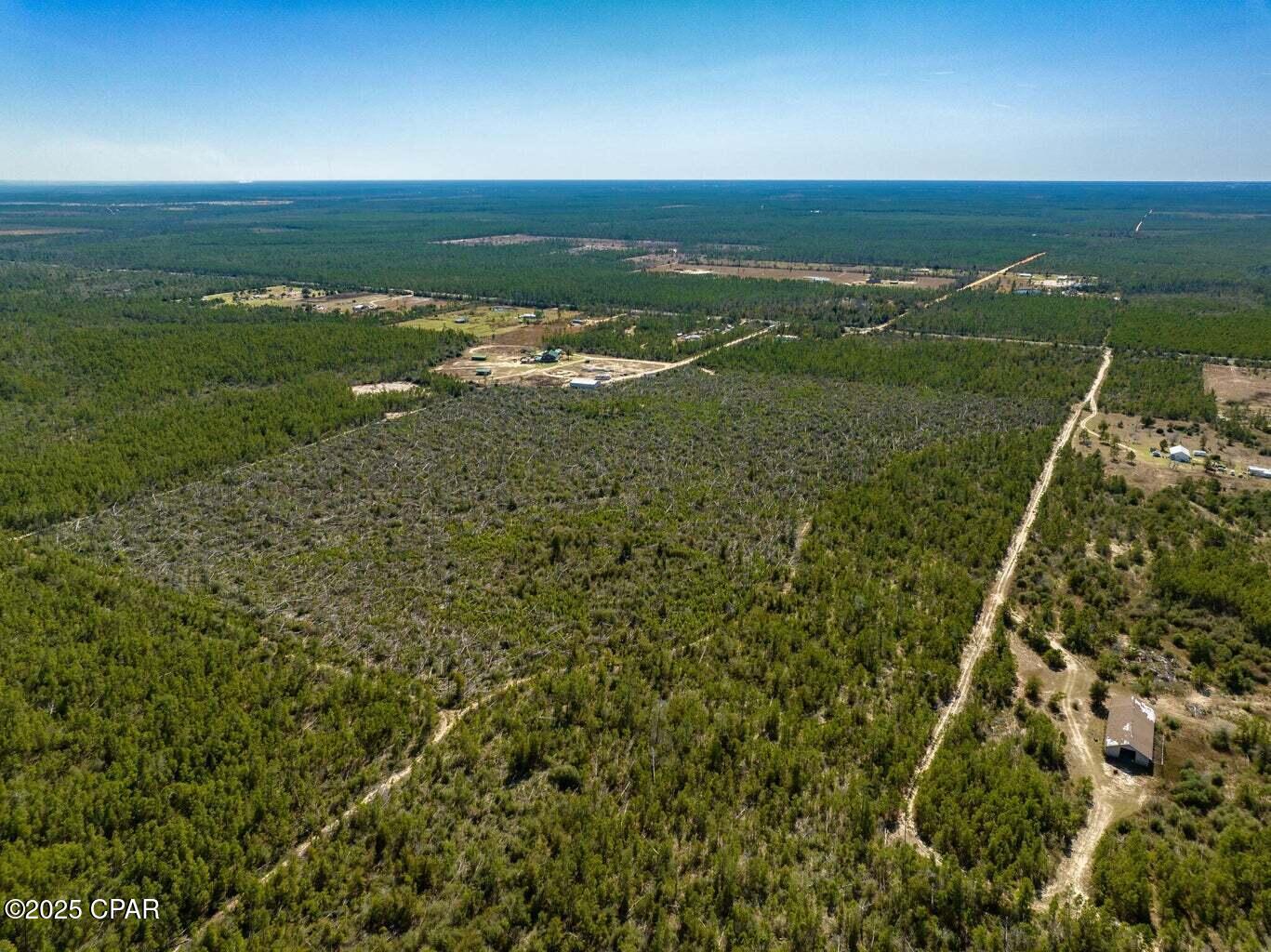 6th image of 110 Acres Hwy 20, Youngstown, FL 32466 | MLS# 782820