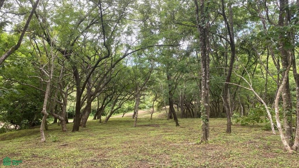0 bed Land For Sale in Santa Cruz, Guanacaste - 1
