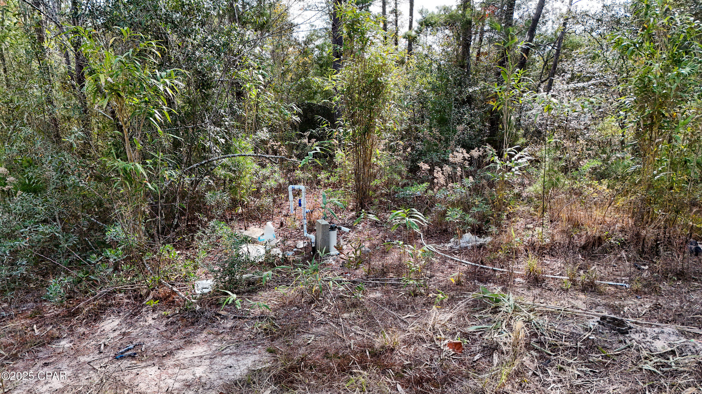 Image 10 For 14209 Big Island Pond Road