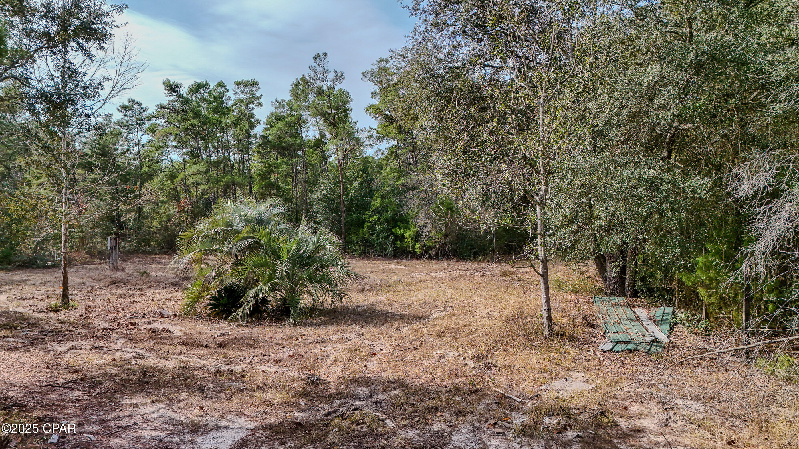 Image 6 For 14209 Big Island Pond Road