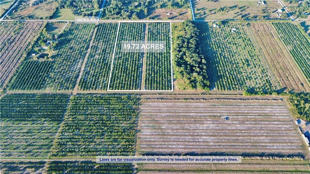 Orchard Groves Citrus