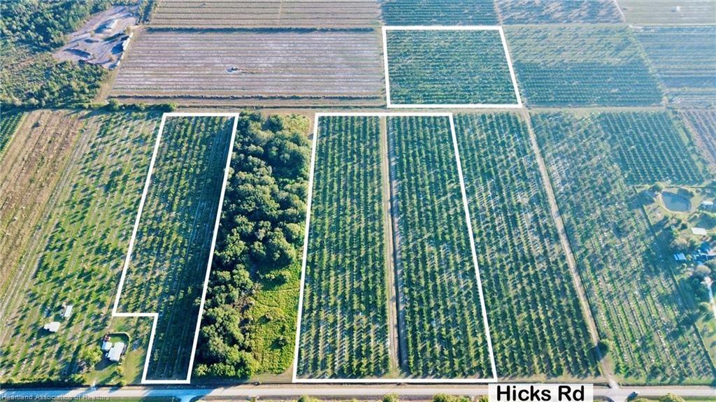 Orchard Groves Citrus