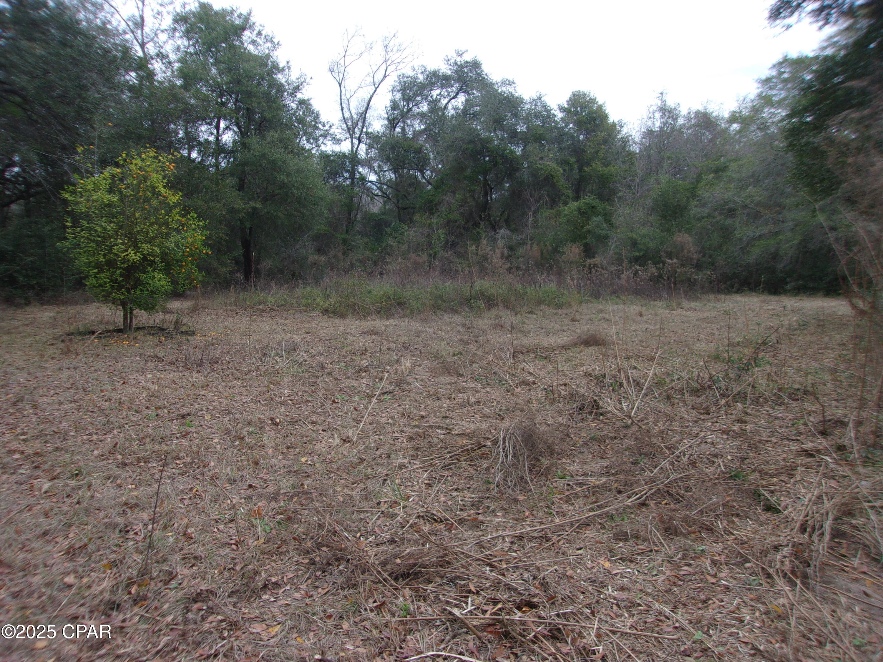 Details for 1724 Highway 173, Bonifay, FL 32425