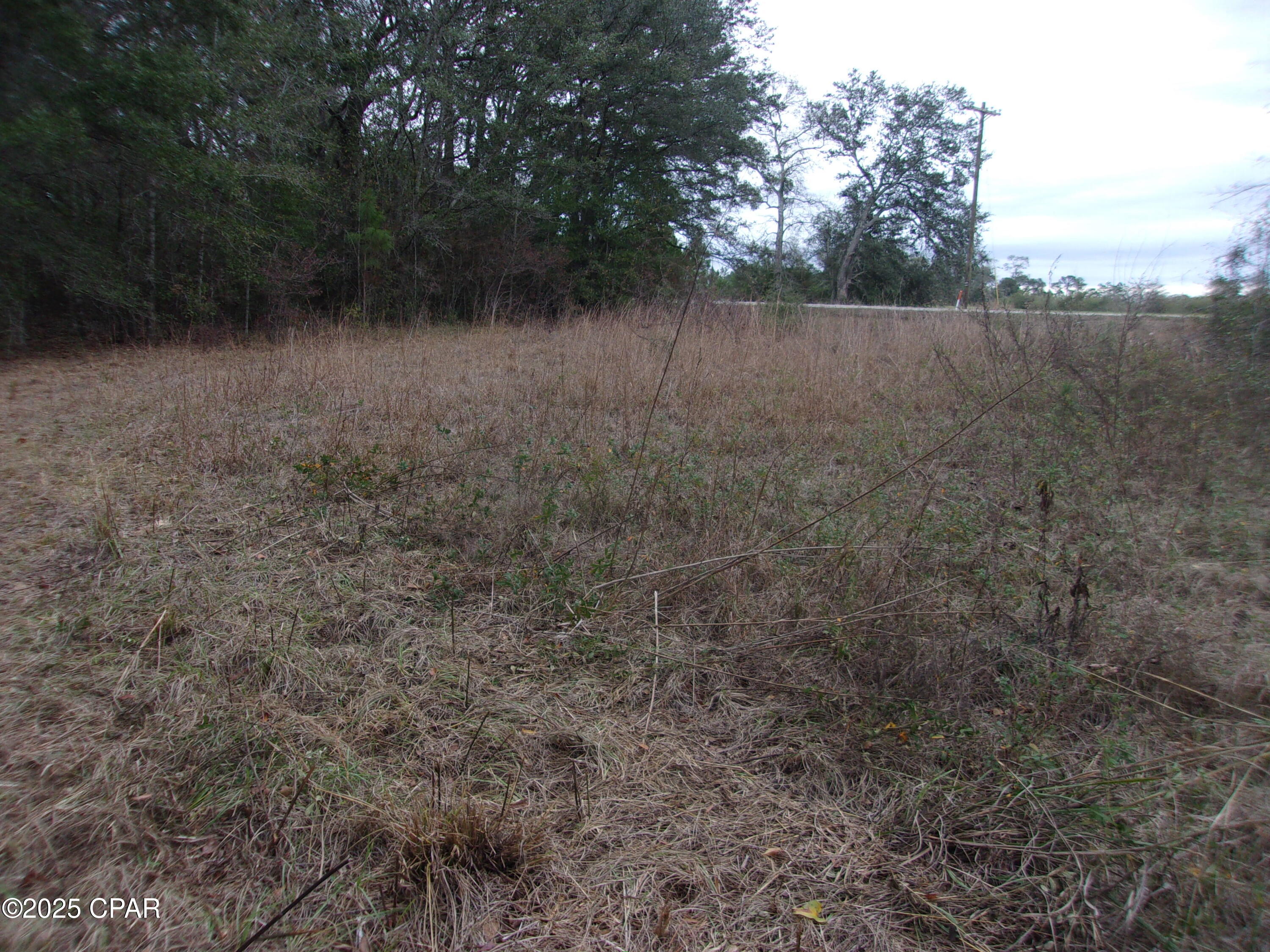 Image 10 For 1724 Highway 173