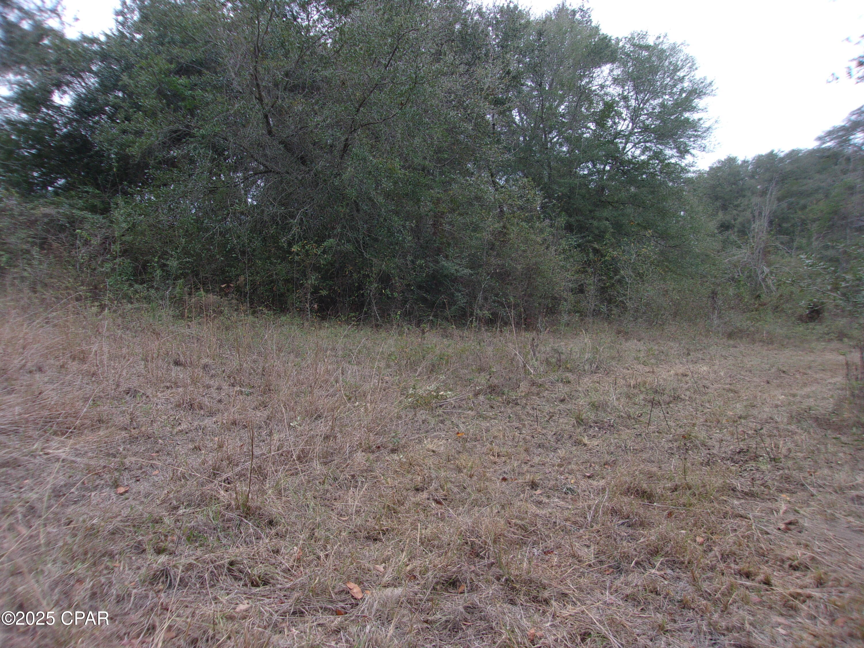 Image 12 For 1724 Highway 173