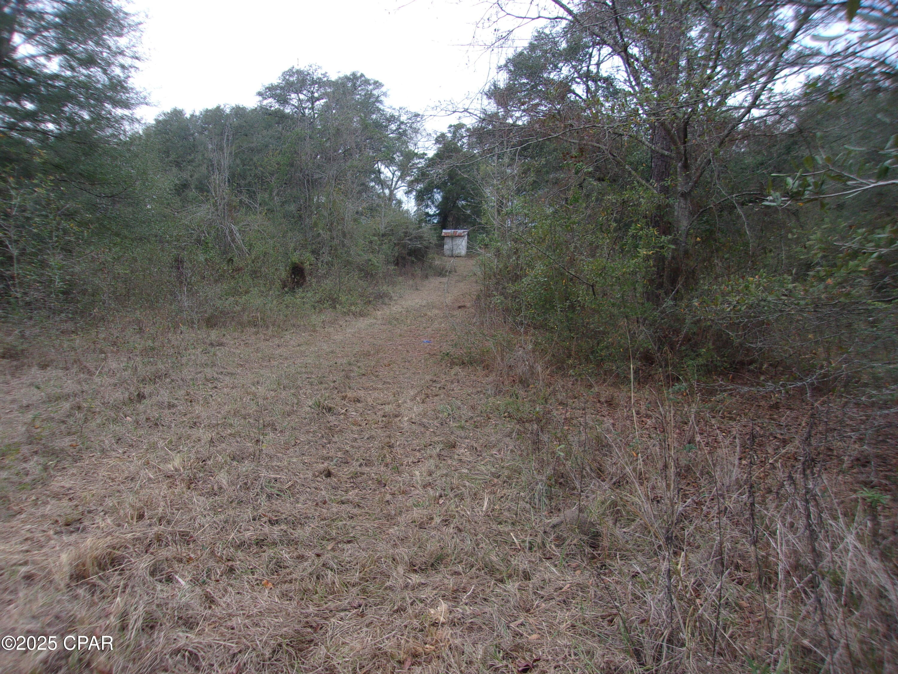 Image 14 For 1724 Highway 173