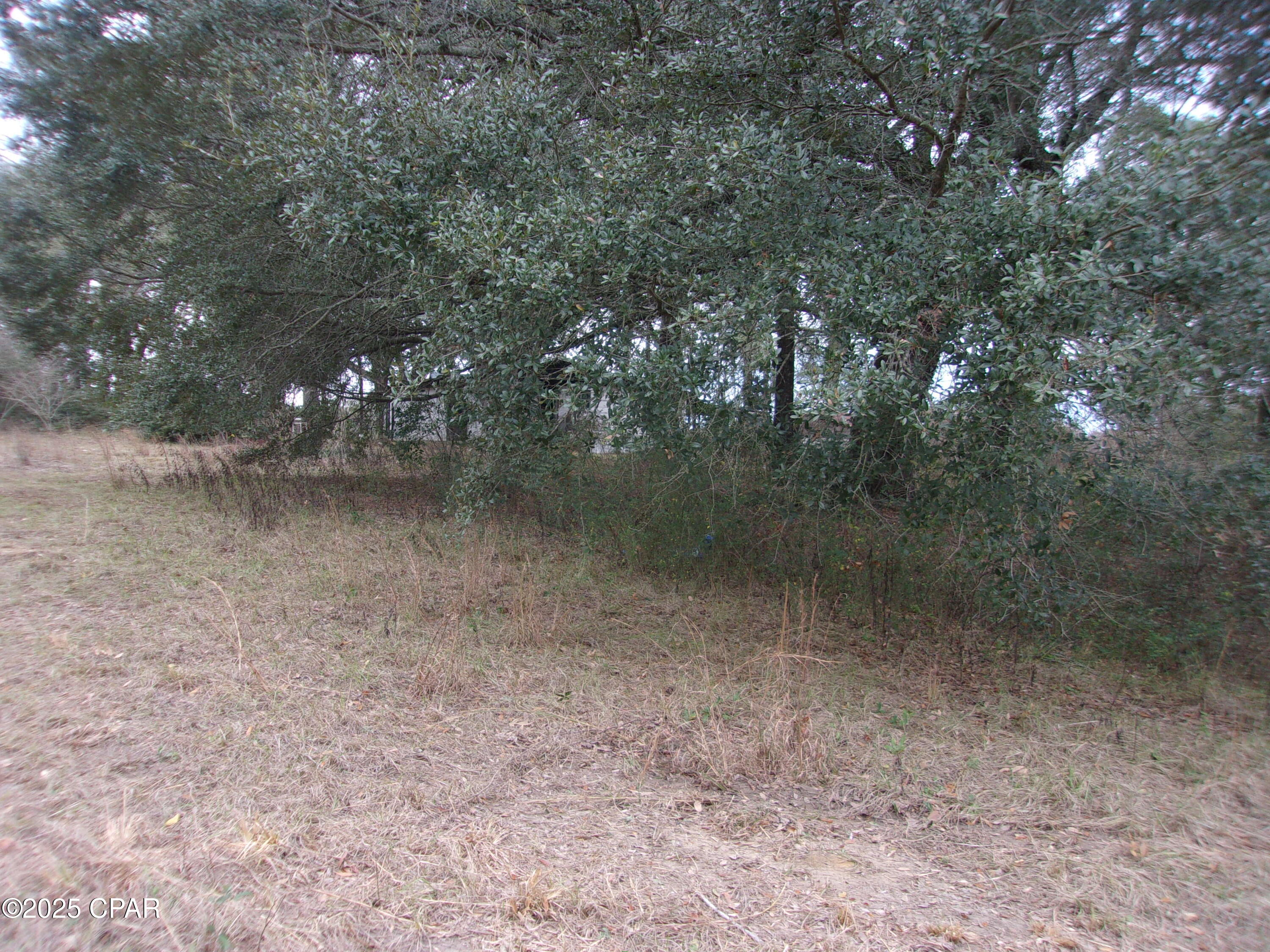 Image 16 For 1724 Highway 173