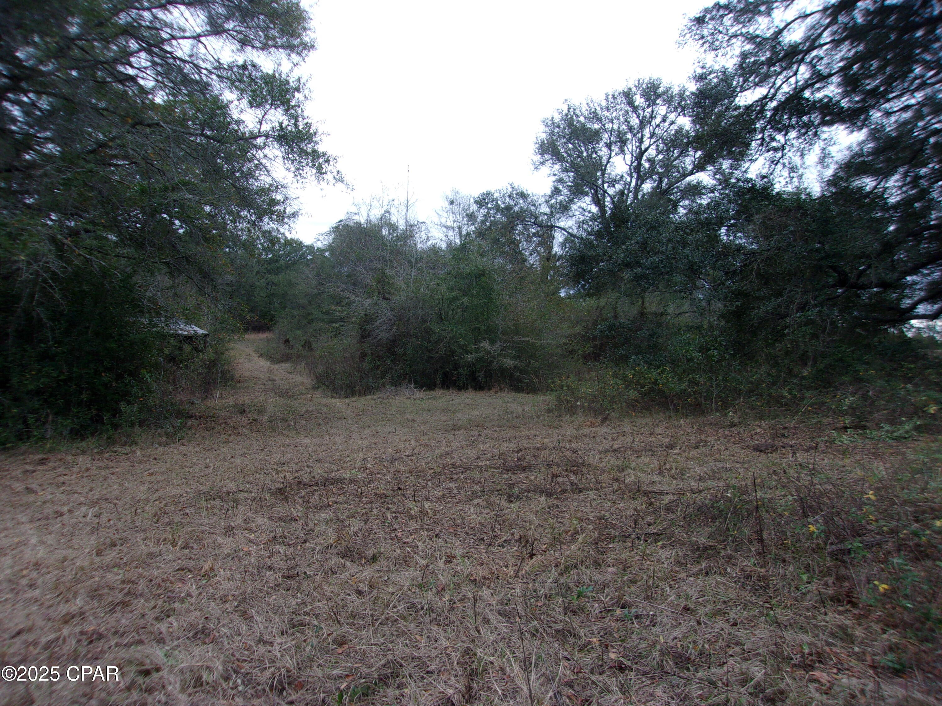 Image 5 For 1724 Highway 173