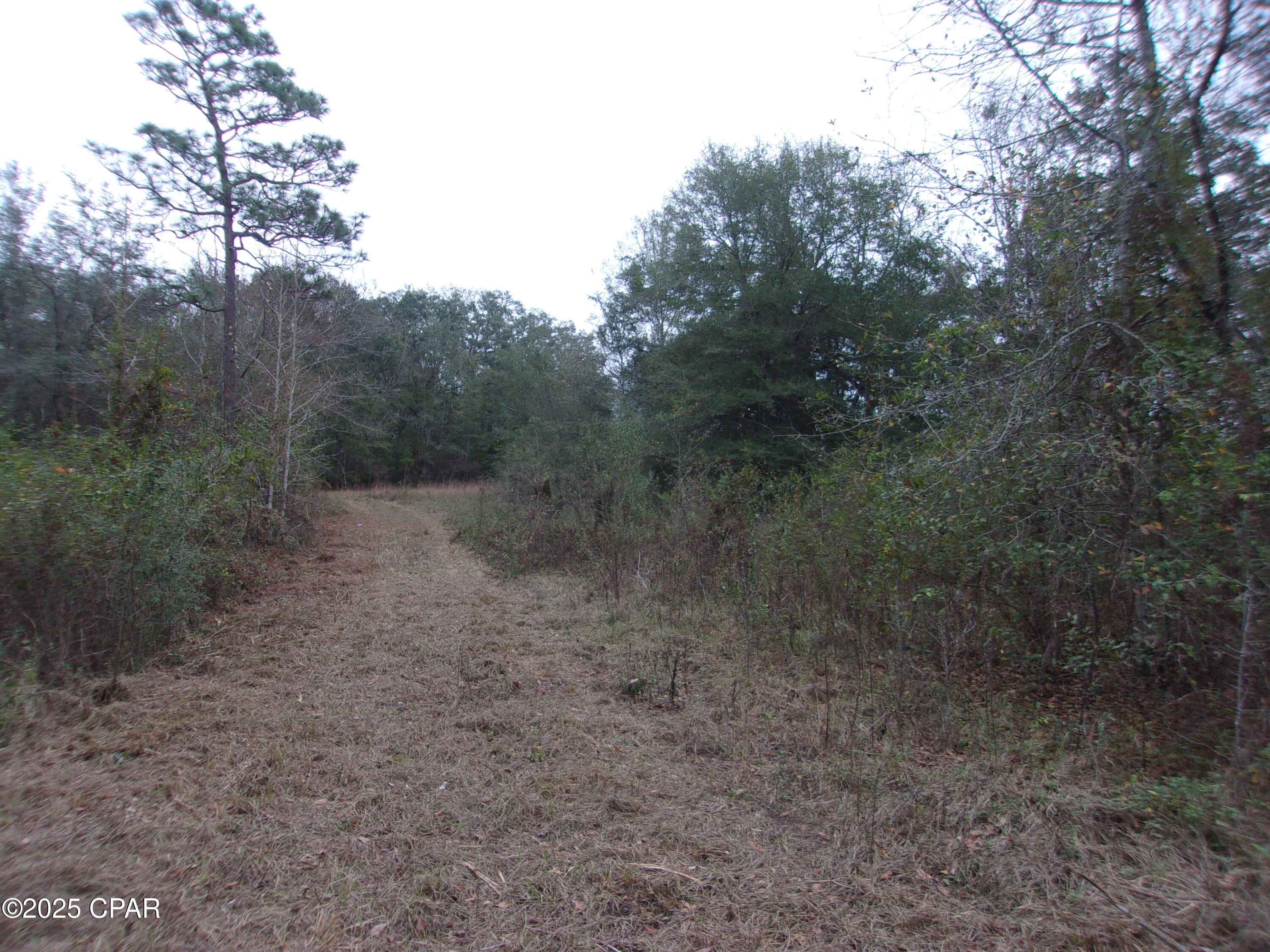 Image 9 For 1724 Highway 173