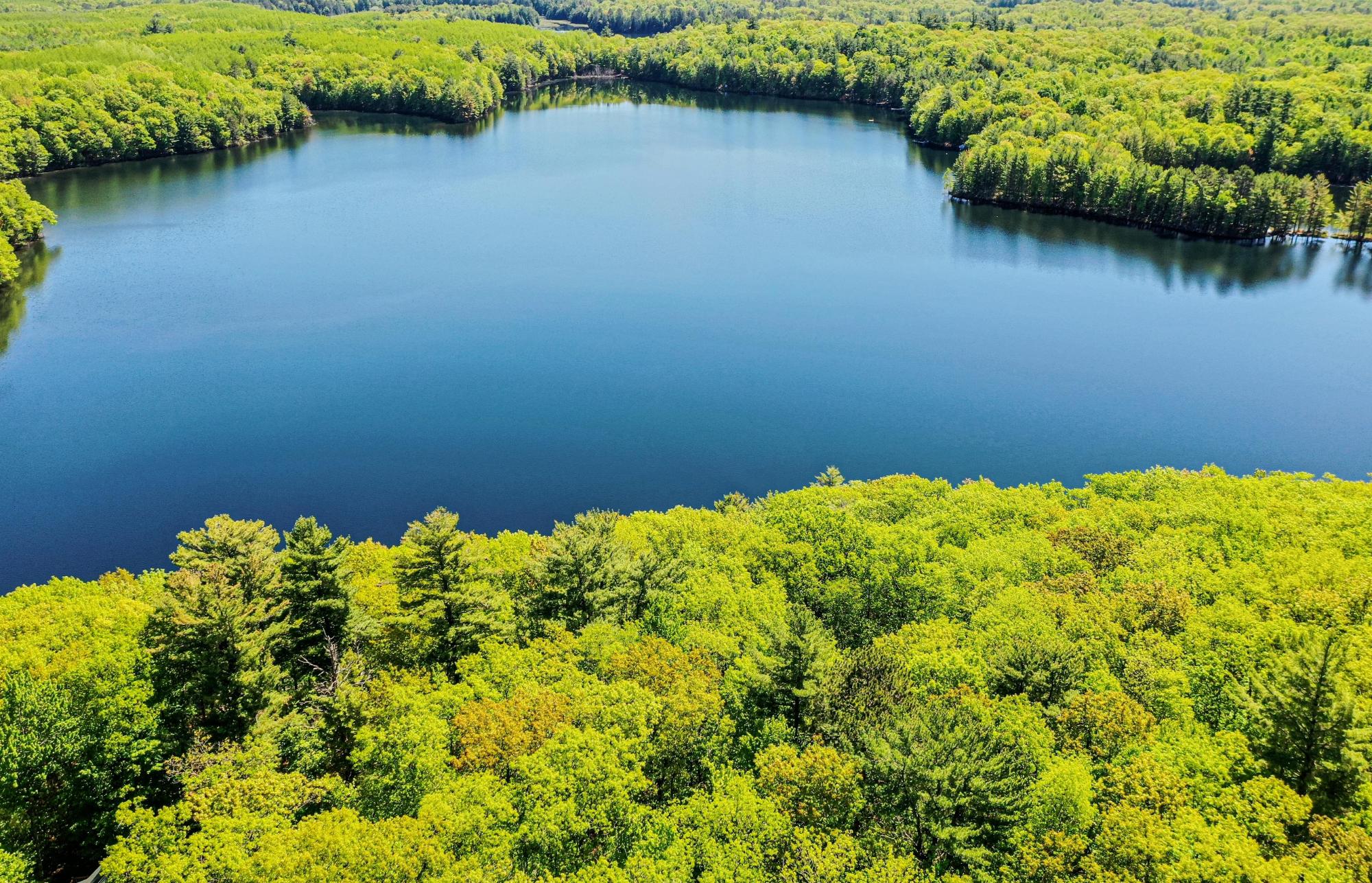 Bird Lake Property 6805 Downey Dr Photo 9