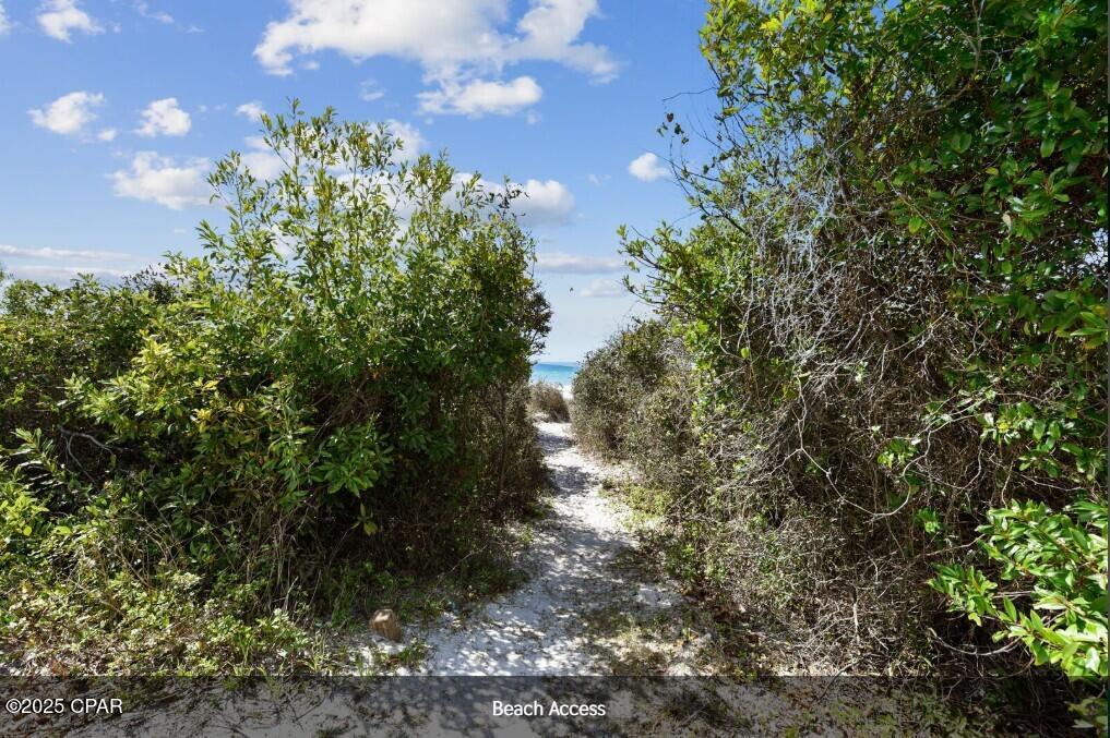 Image 23 For 204 Carol Place