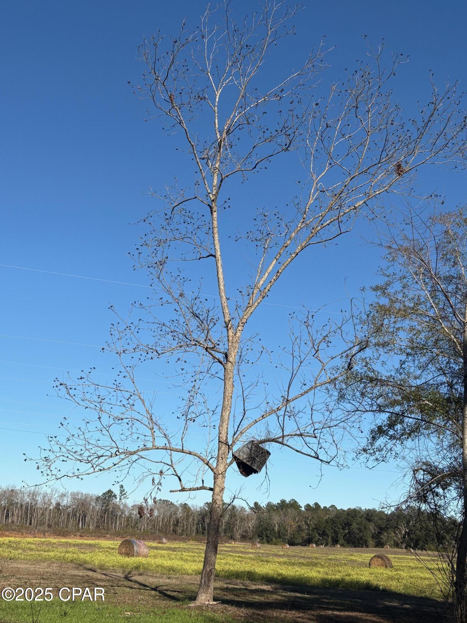 Image 68 For 4980 Heisler Road