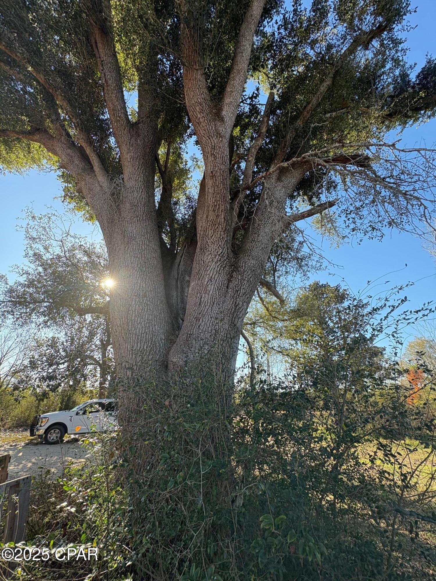 Image 71 For 4980 Heisler Road