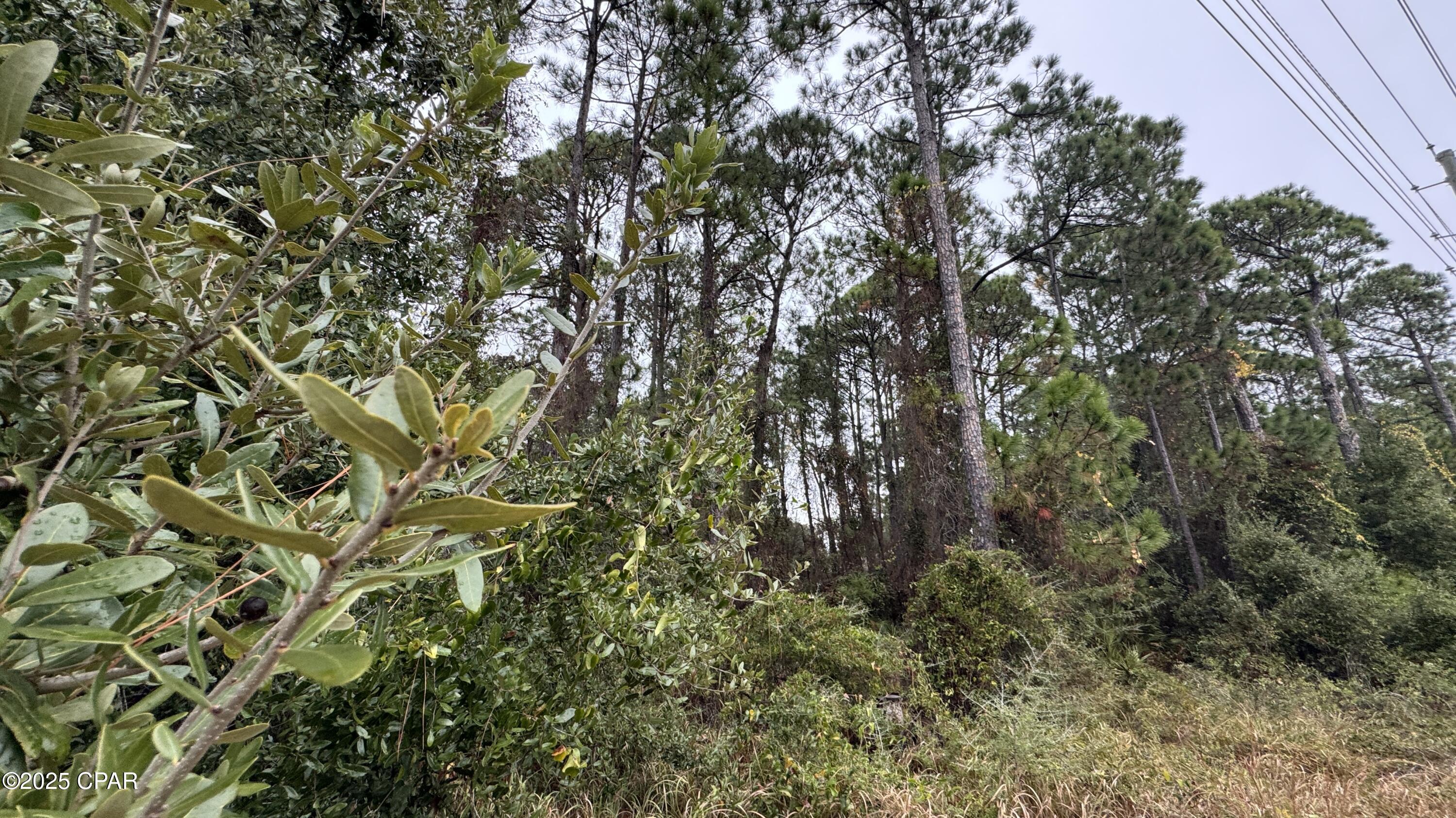 Listing photo id 4 for 5836 Gulf Breeze Parkway