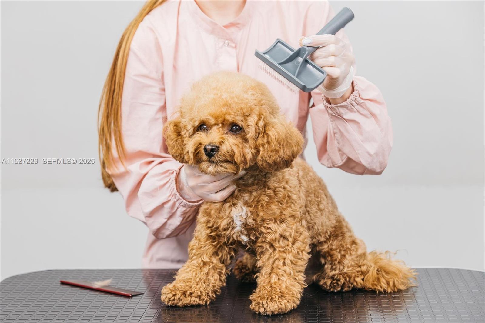  Pet Grooming, Delray Beach, Florida 33483