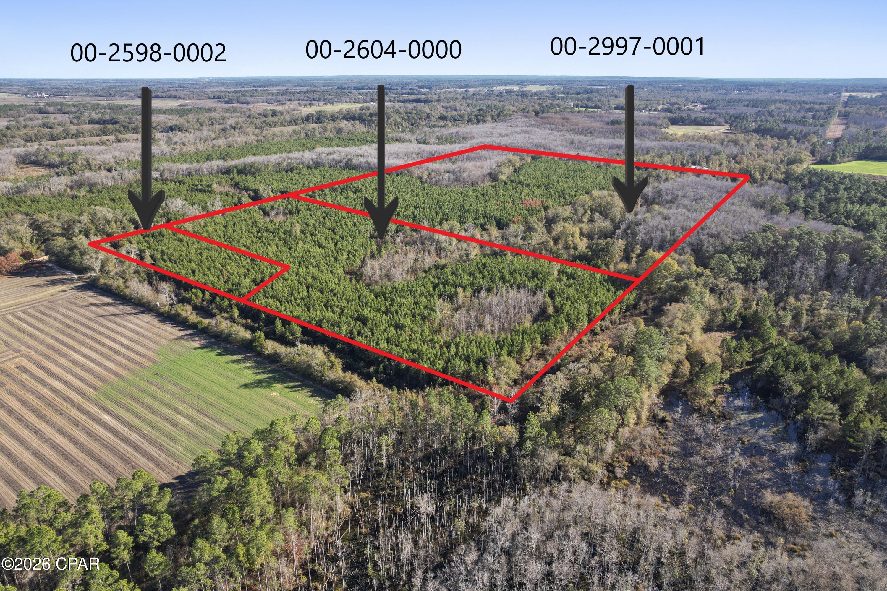 Image 13 For 0 New Prospect Road