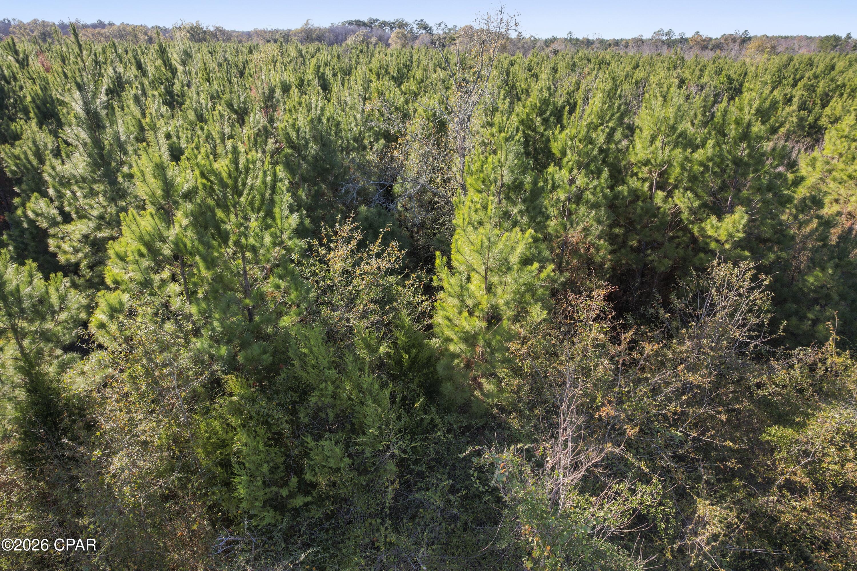 Image 17 For 0 New Prospect Road