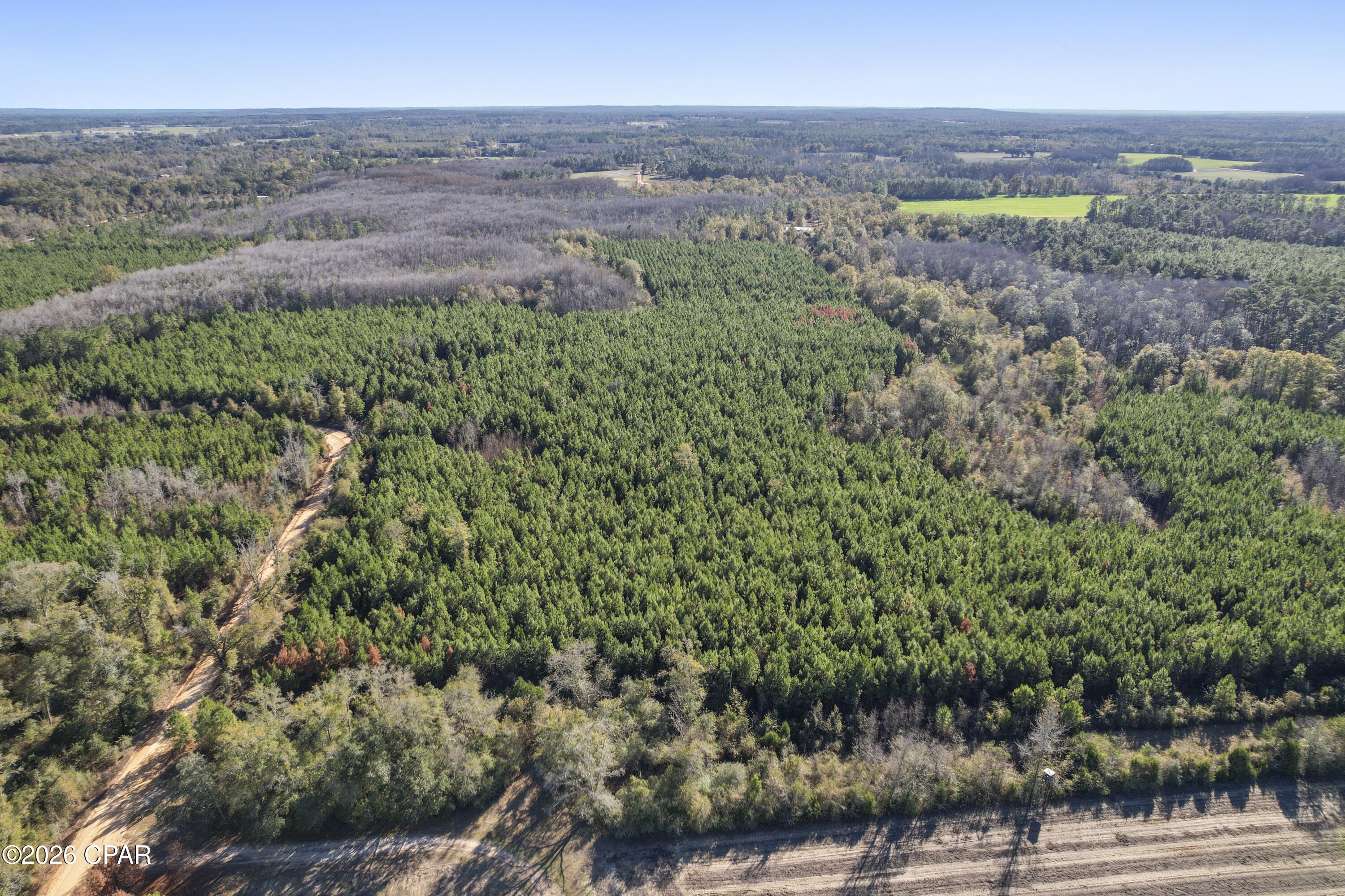 Image 2 For 0 New Prospect Road