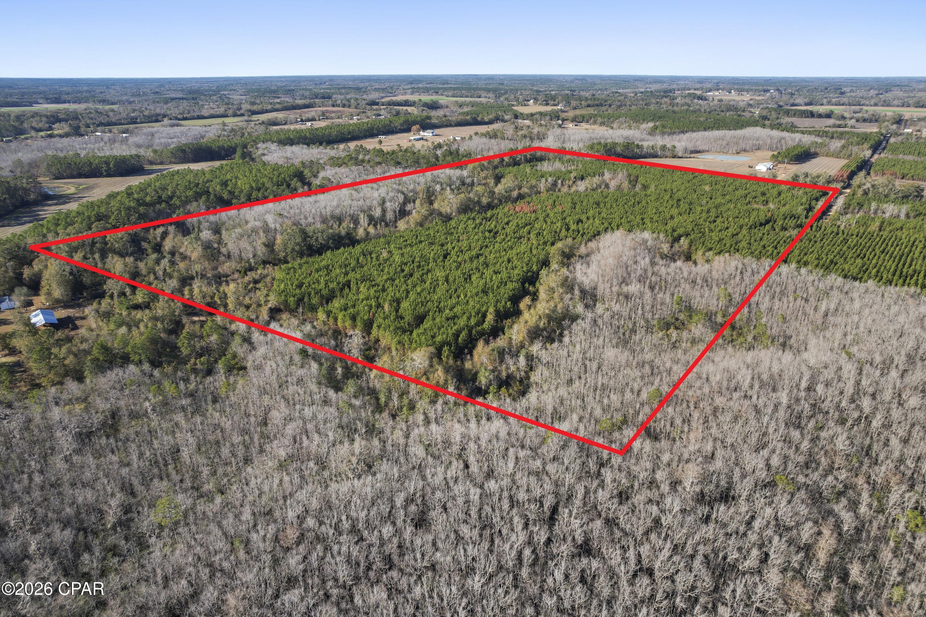 Image 5 For 0 New Prospect Road