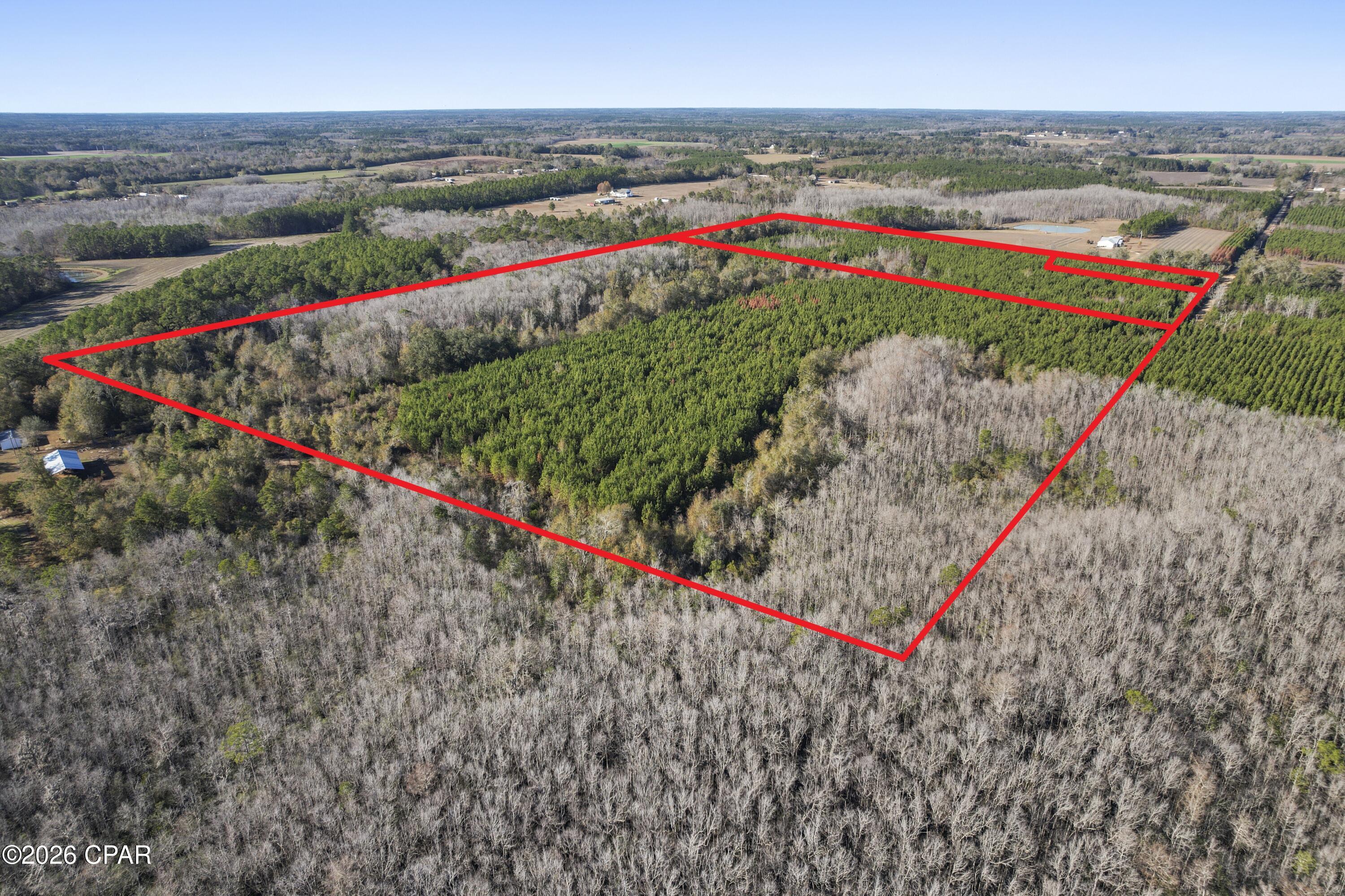 Image 7 For 0 New Prospect Road