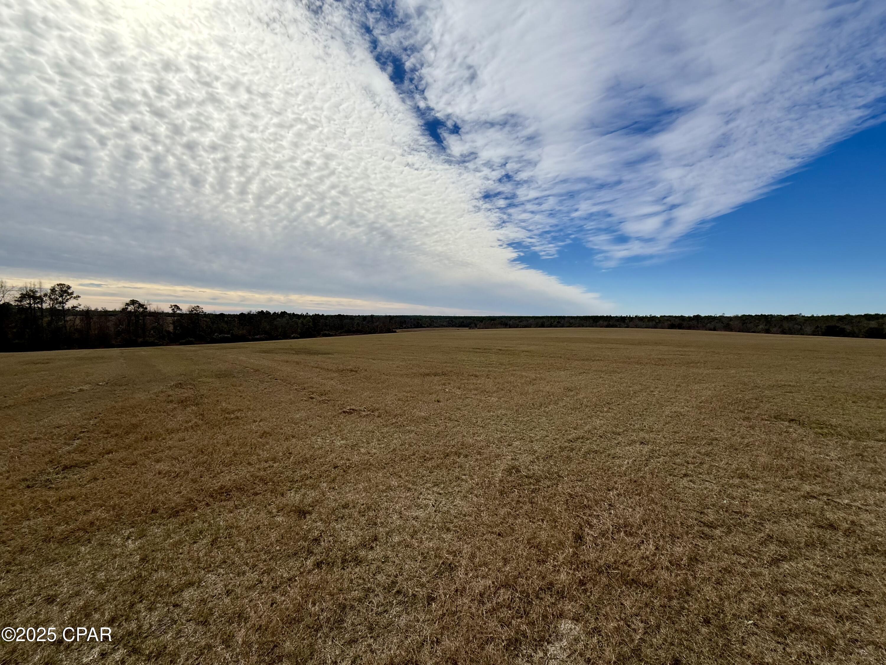 Image 16 For 00 Crovetti Way