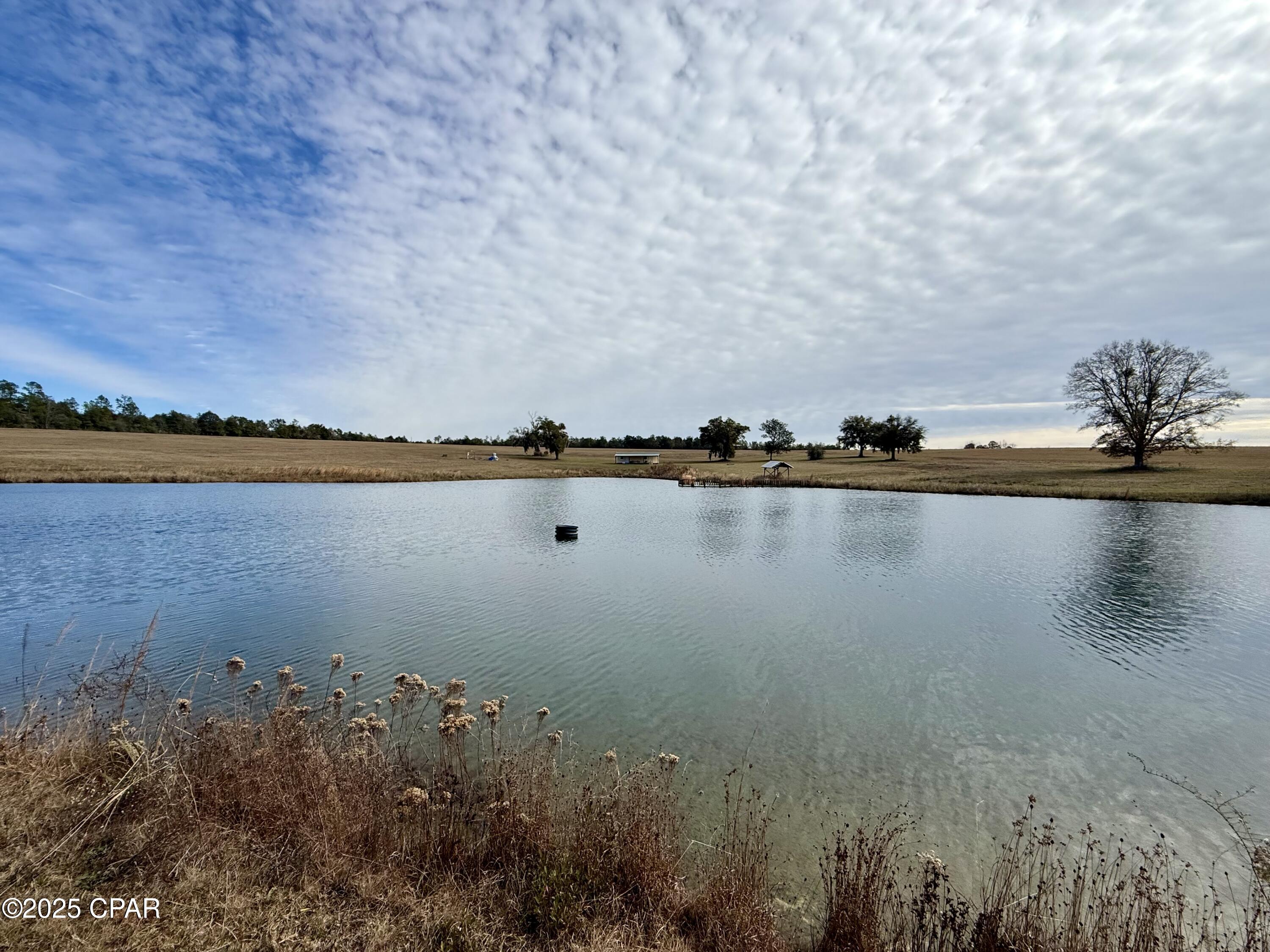 Image 29 For 00 Crovetti Way