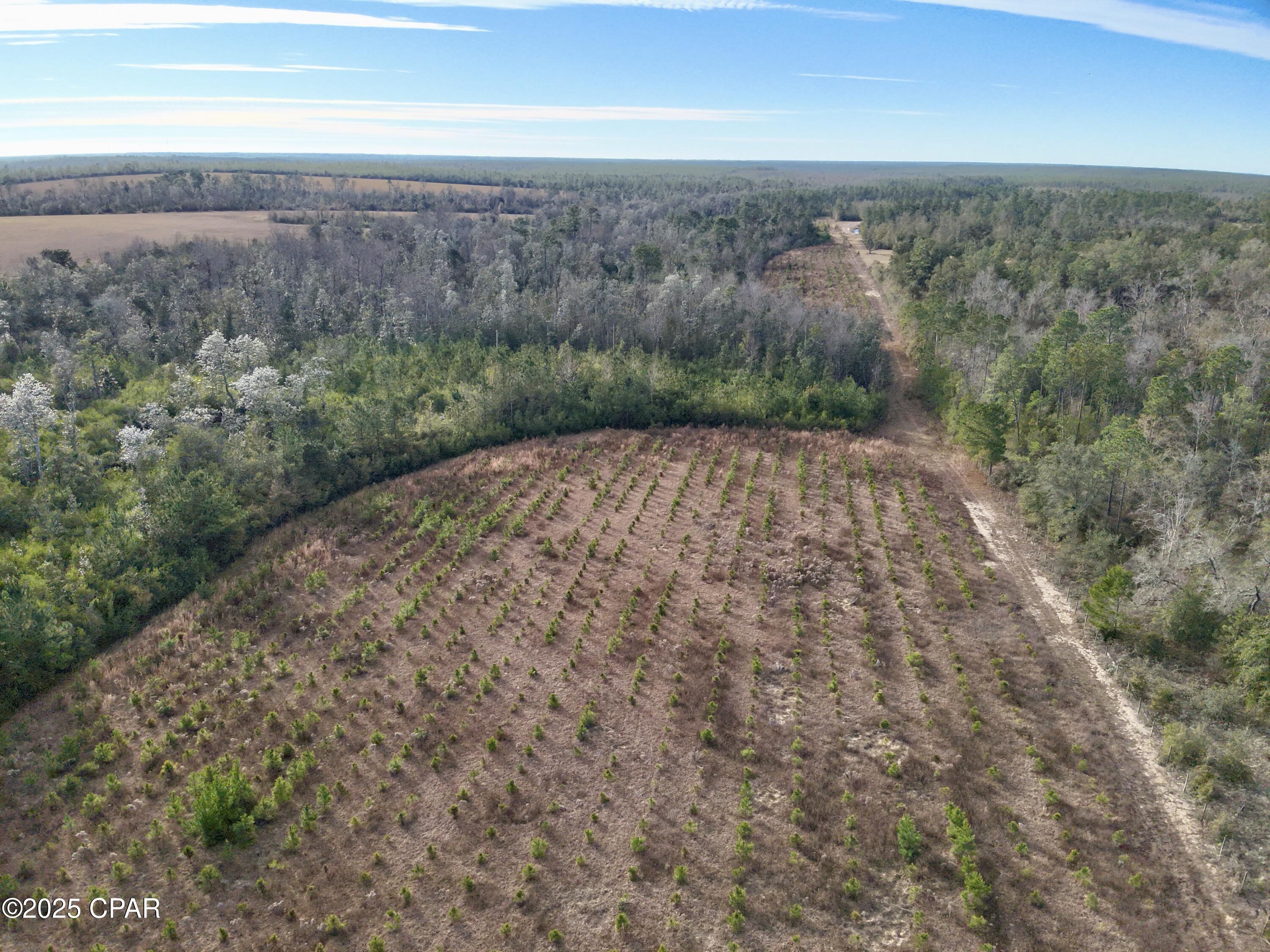 Image 3 For 00 Crovetti Way